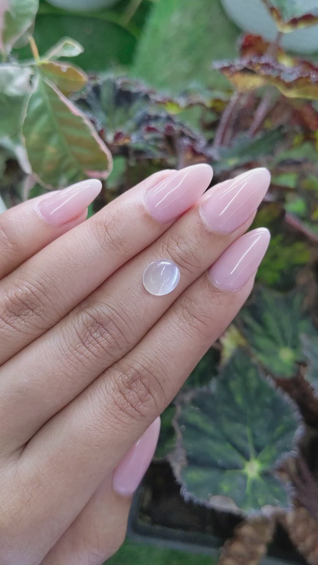 2.90 Ct. Cabochon Moonstone from Ceylon (Sri Lanka) Size Video