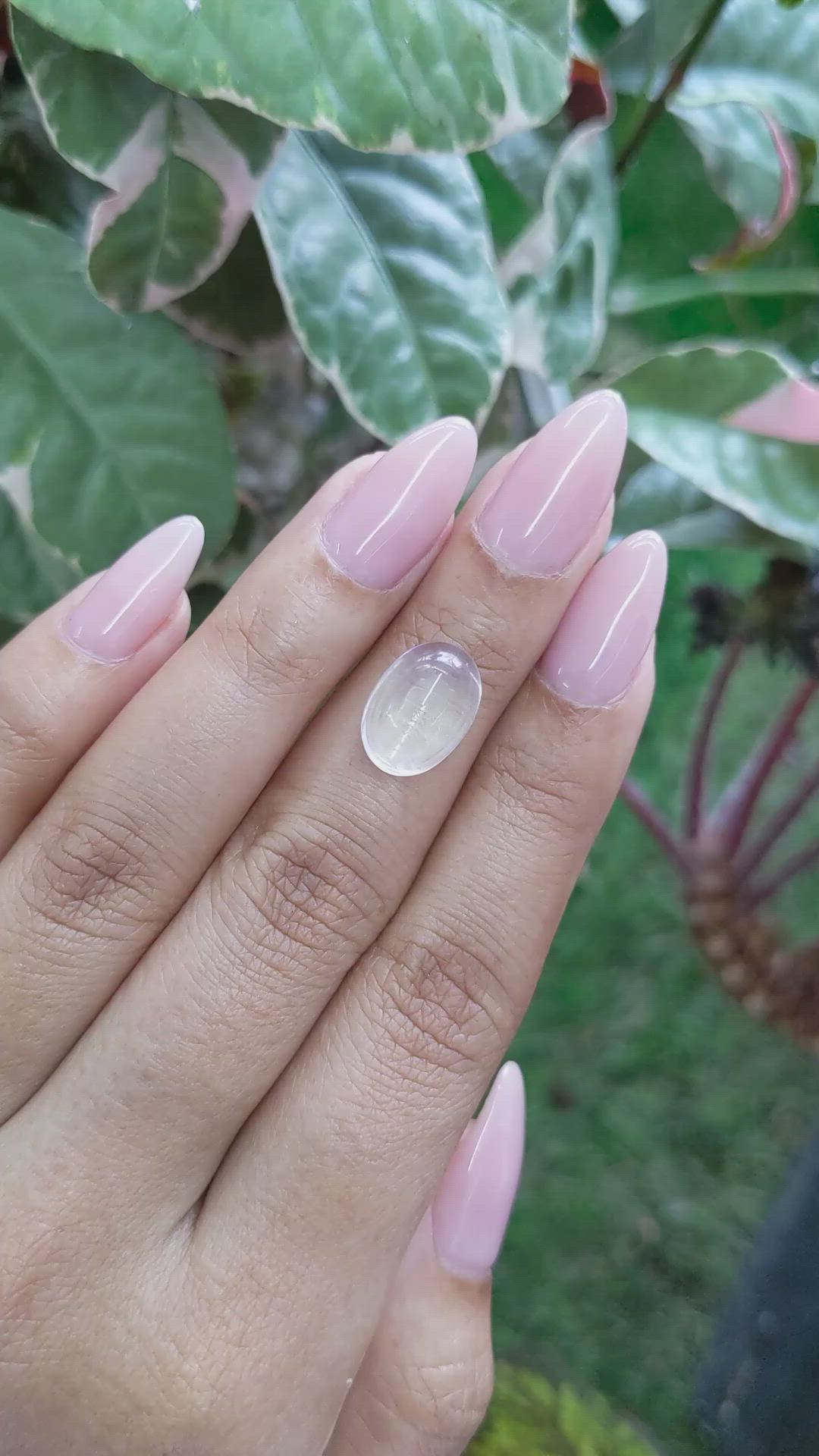 6.90 Ct. Cabochon Moonstone from Ceylon (Sri Lanka) Size Video