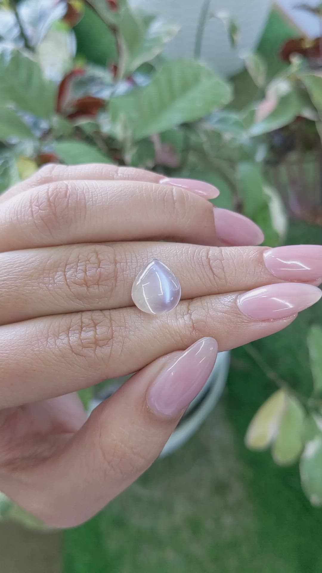 6.33 Ct. Cabochon Moonstone from Ceylon (Sri Lanka) Size Video