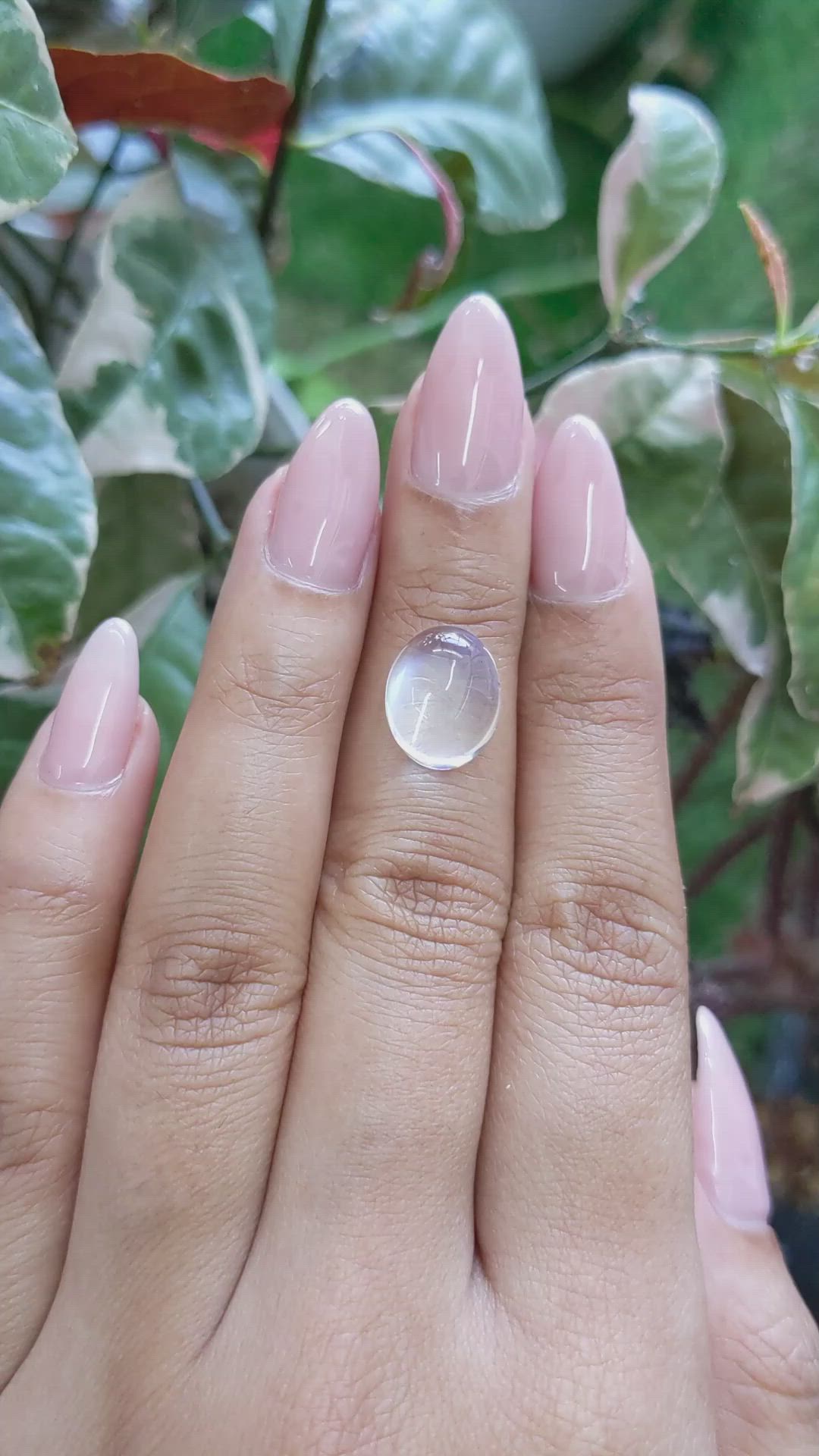 7.06 Ct. Cabochon Moonstone from Ceylon (Sri Lanka) Size Video