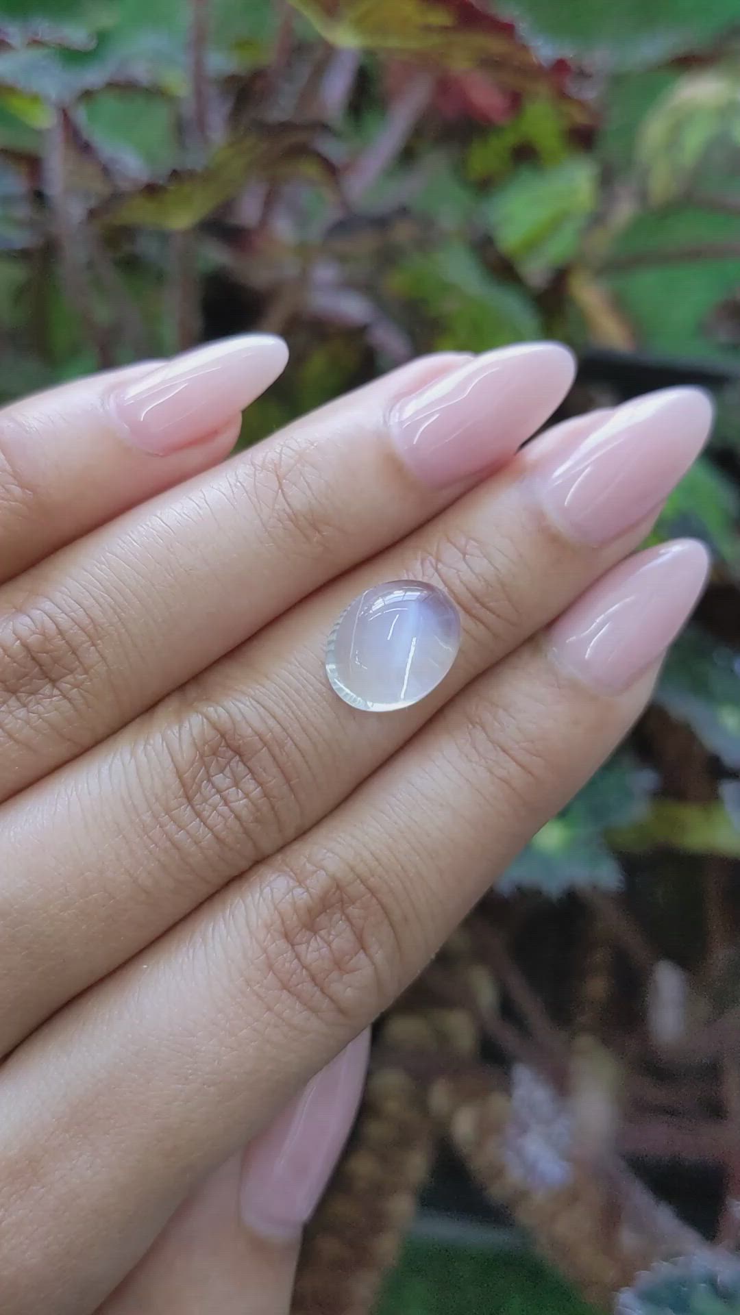 7.06 Ct. Cabochon Moonstone from Ceylon (Sri Lanka) Size Video