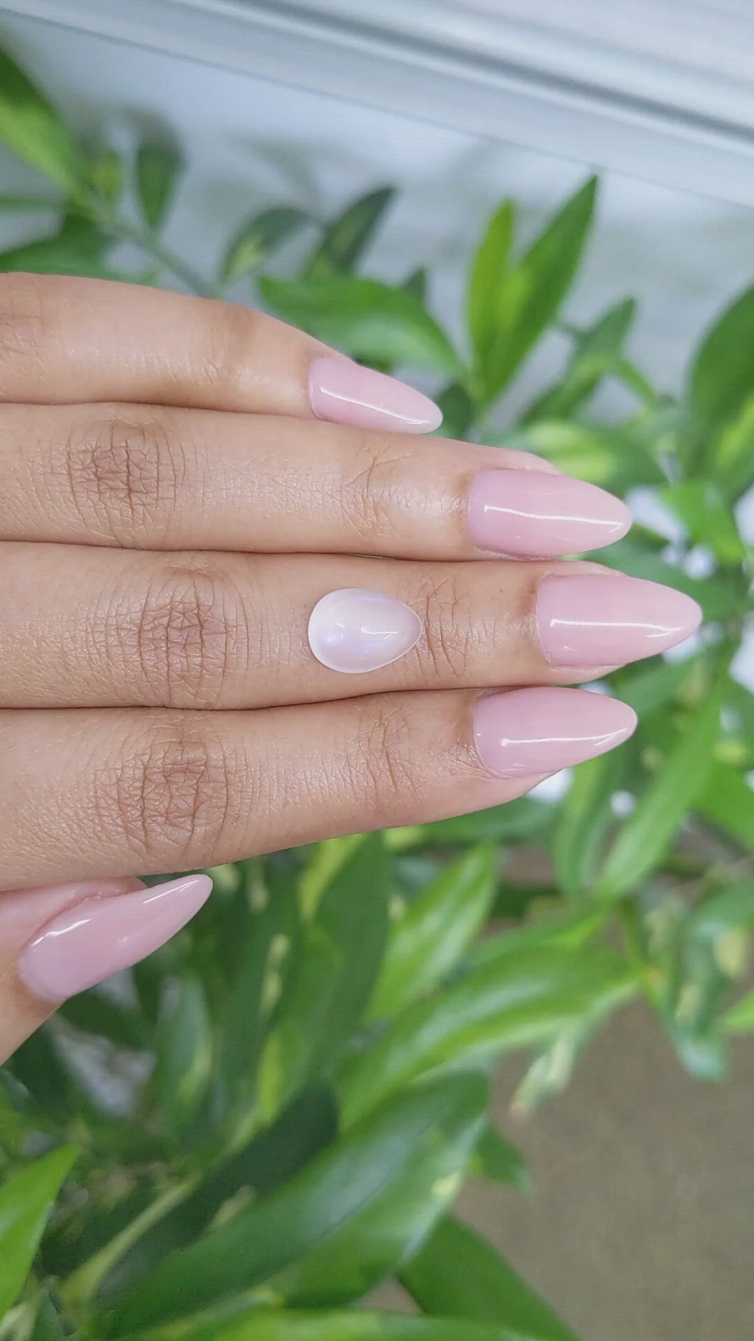 3.00 Ct. Cabochon Moonstone from Ceylon (Sri Lanka) Size Video