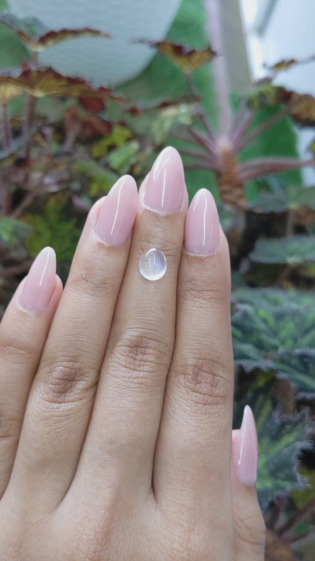 1.87 Ct. Cabochon Moonstone from Ceylon (Sri Lanka) Size Video
