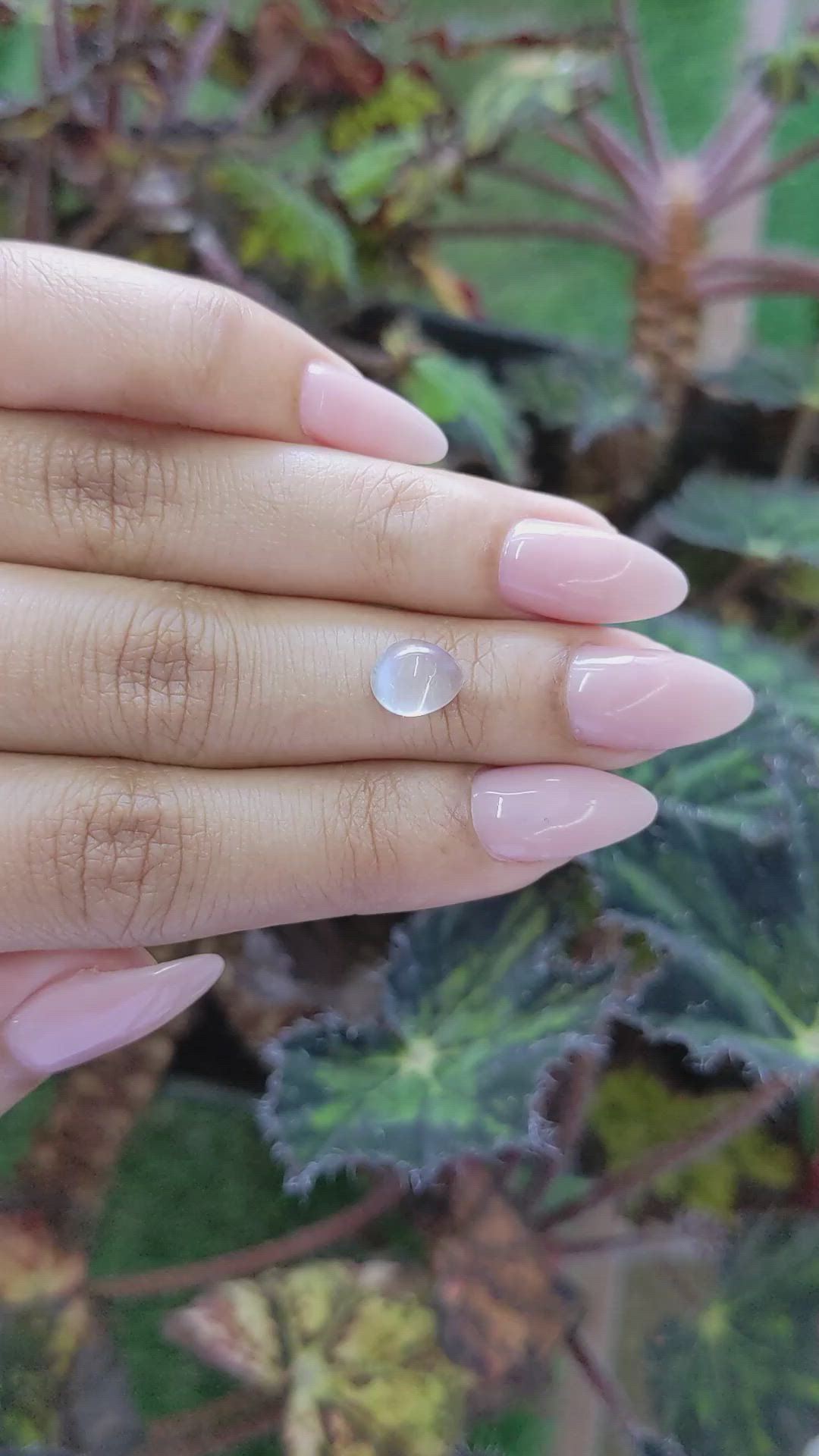 1.87 Ct. Cabochon Moonstone from Ceylon (Sri Lanka) Size Video