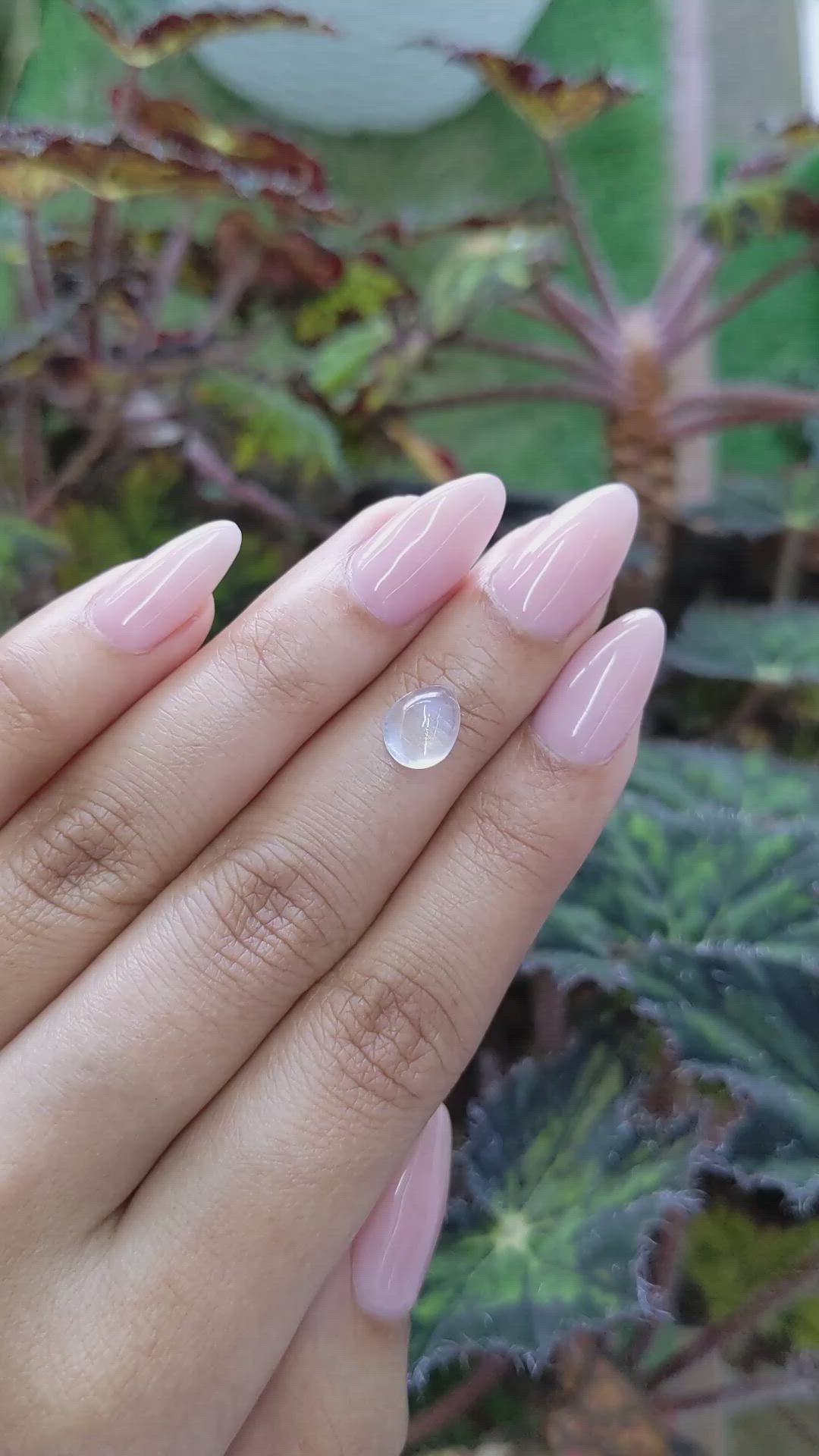 1.87 Ct. Cabochon Moonstone from Ceylon (Sri Lanka) Size Video