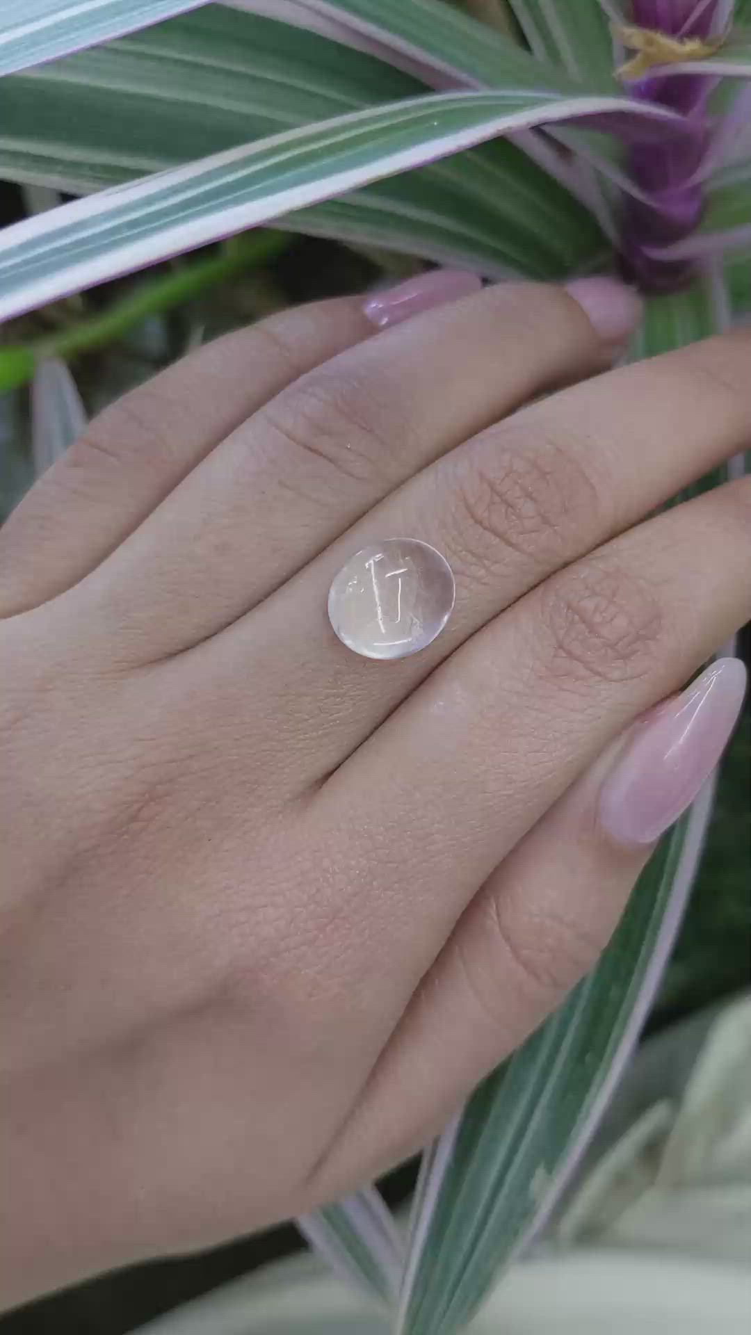 6.47 Ct. Cabochon Moonstone from Ceylon (Sri Lanka) Size Video