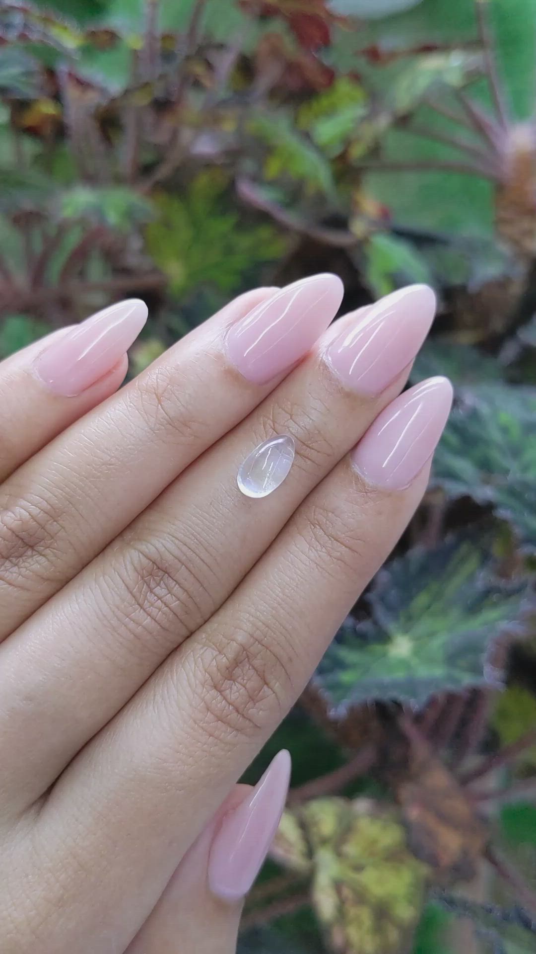 1.67 Ct. Cabochon Moonstone from Ceylon (Sri Lanka) Size Video