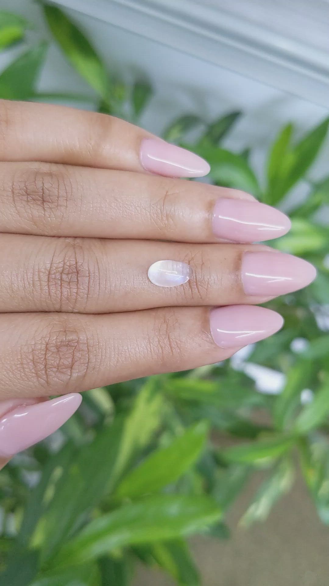 1.67 Ct. Cabochon Moonstone from Ceylon (Sri Lanka) Size Video