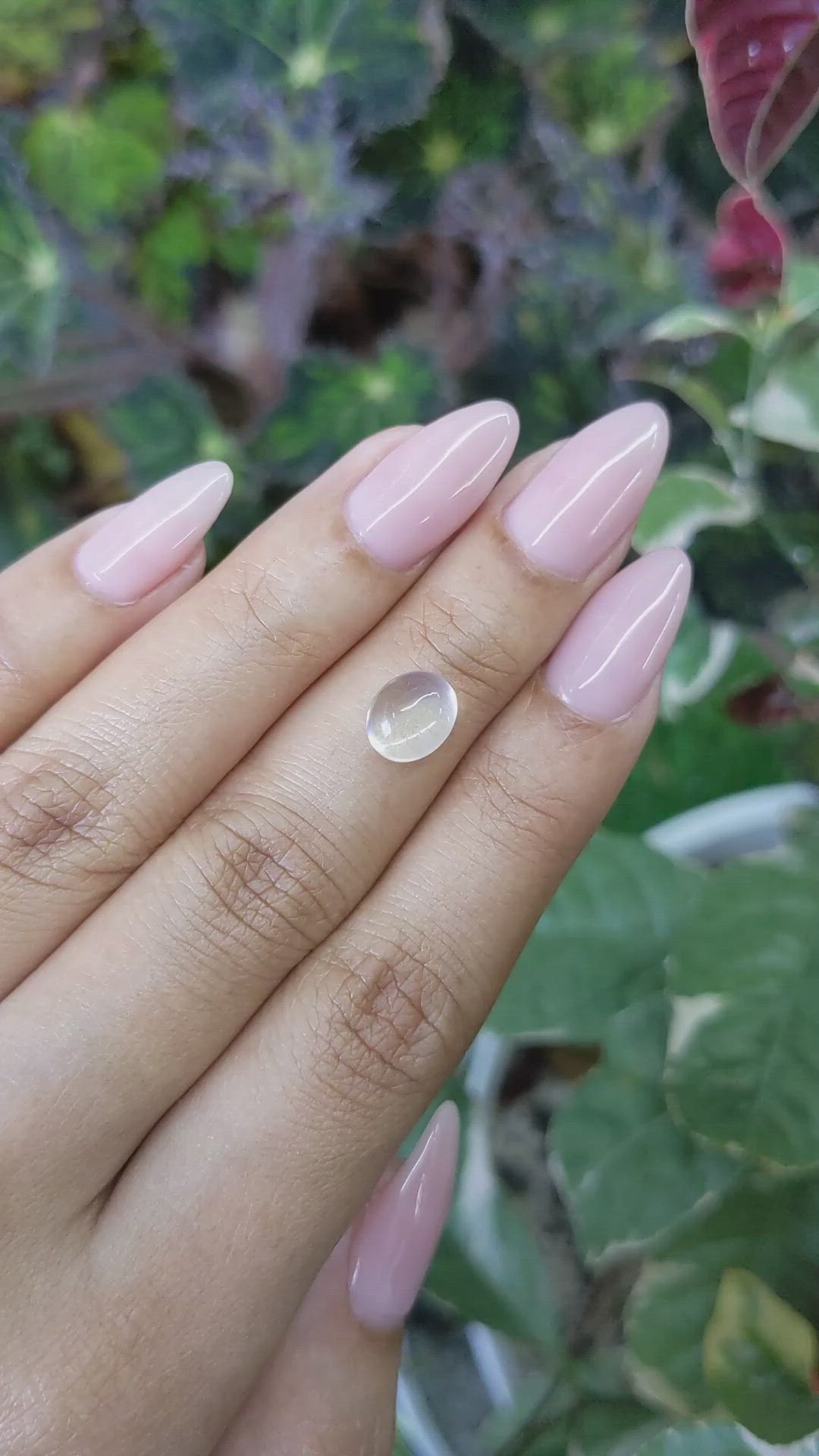 2.15 Ct. Cabochon Moonstone from Ceylon (Sri Lanka) Size Video