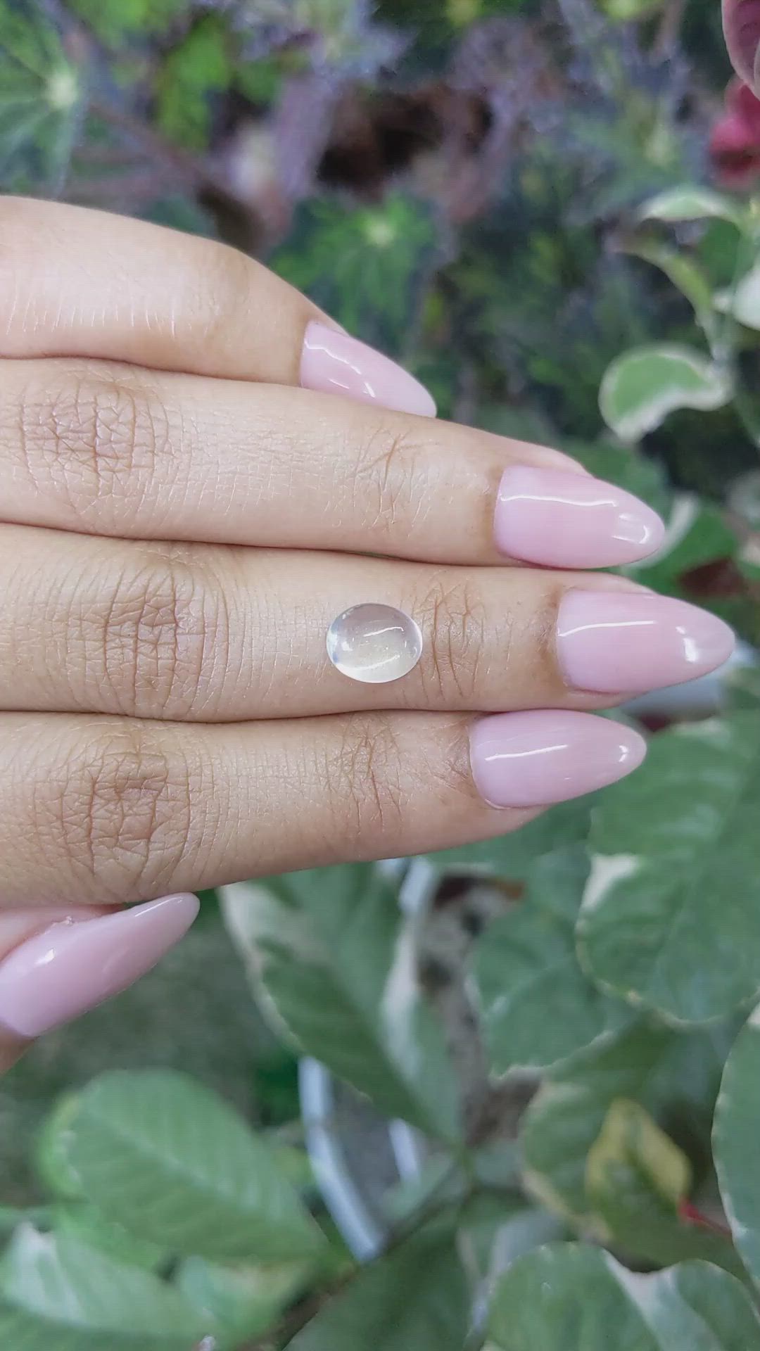 2.15 Ct. Cabochon Moonstone from Ceylon (Sri Lanka) Size Video