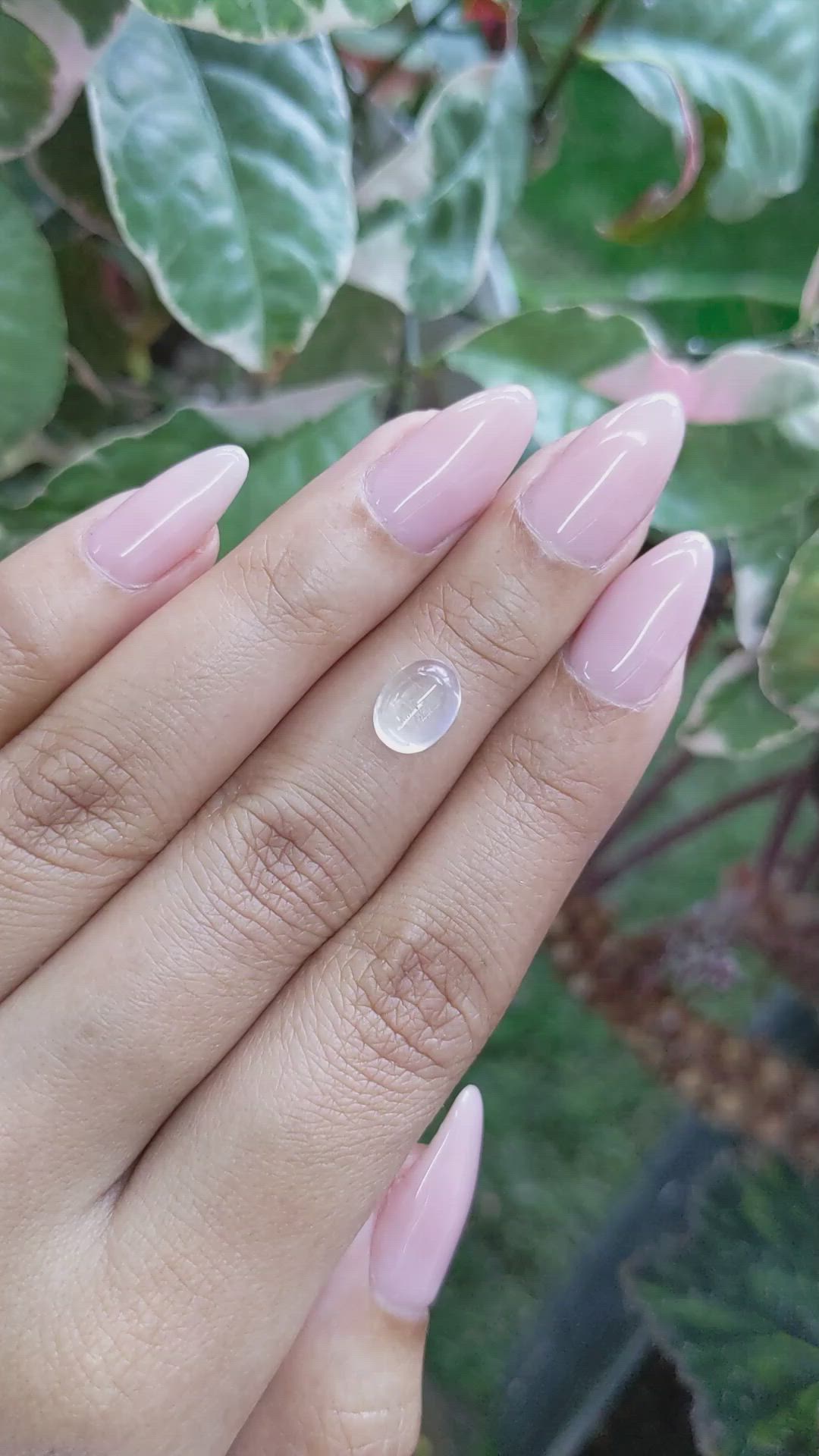 1.99 Ct. Cabochon Moonstone from Ceylon (Sri Lanka) Size Video