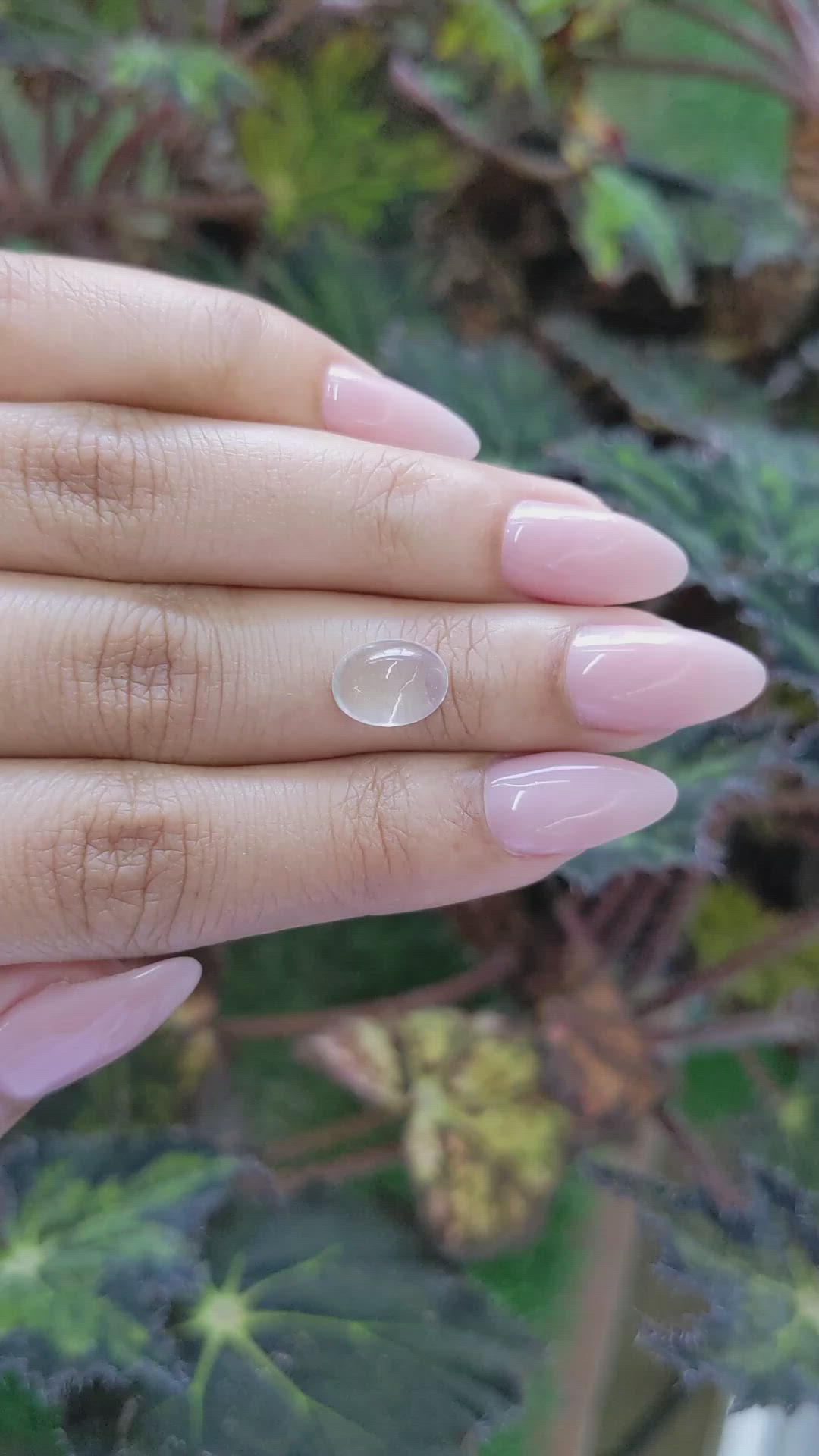 2.95 Ct. Cabochon Moonstone from Ceylon (Sri Lanka) Size Video