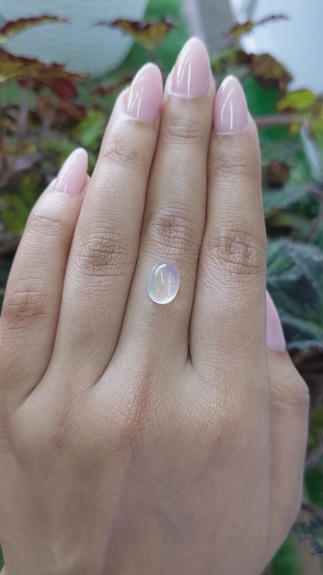 2.95 Ct. Cabochon Moonstone from Ceylon (Sri Lanka) Size Video