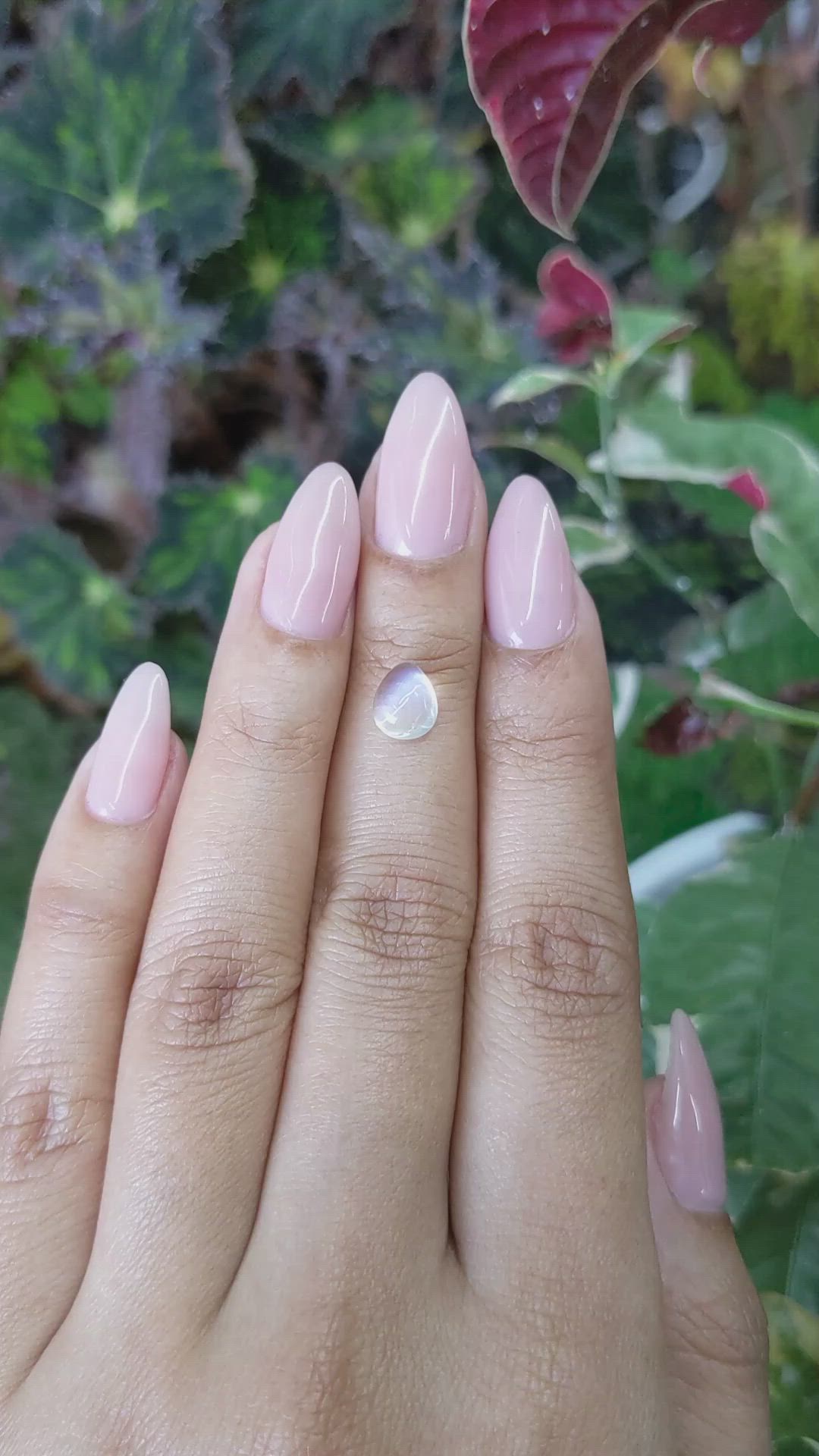 1.56 Ct. Cabochon Moonstone from Ceylon (Sri Lanka) Size Video