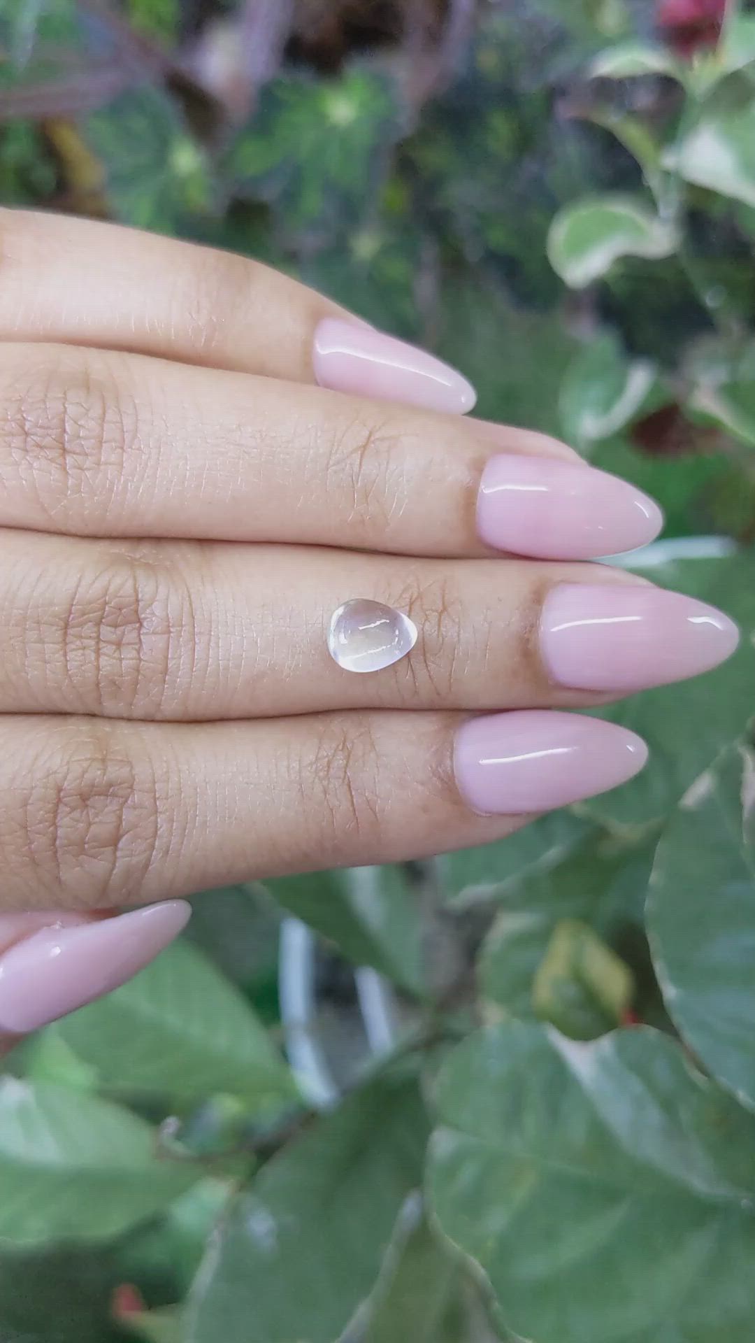 1.56 Ct. Cabochon Moonstone from Ceylon (Sri Lanka) Size Video