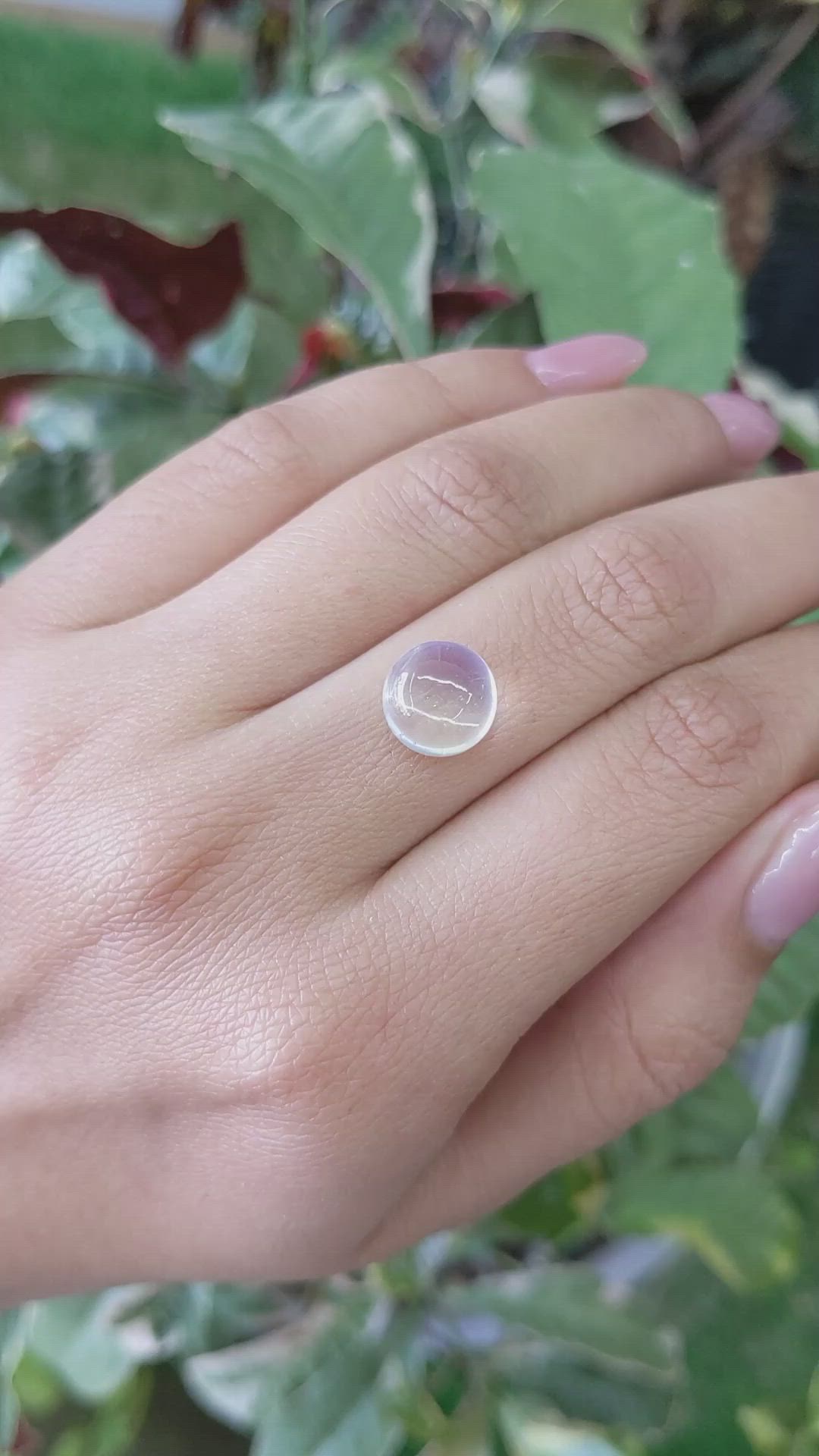 4.78 Ct. Cabochon Moonstone from Ceylon (Sri Lanka) Size Video