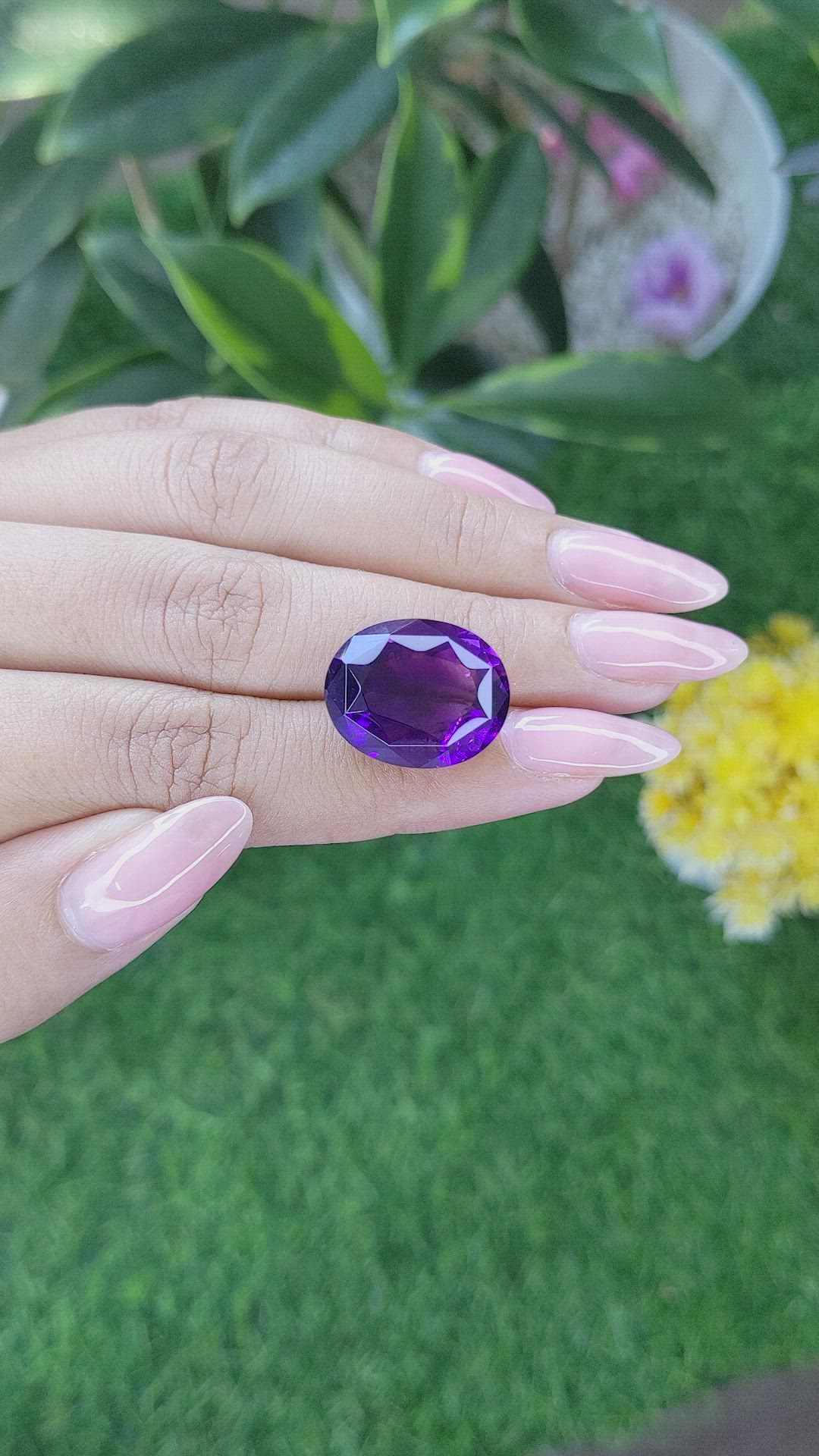 15.70 Ct. Amethyst from Ceylon (Sri Lanka) Size Video