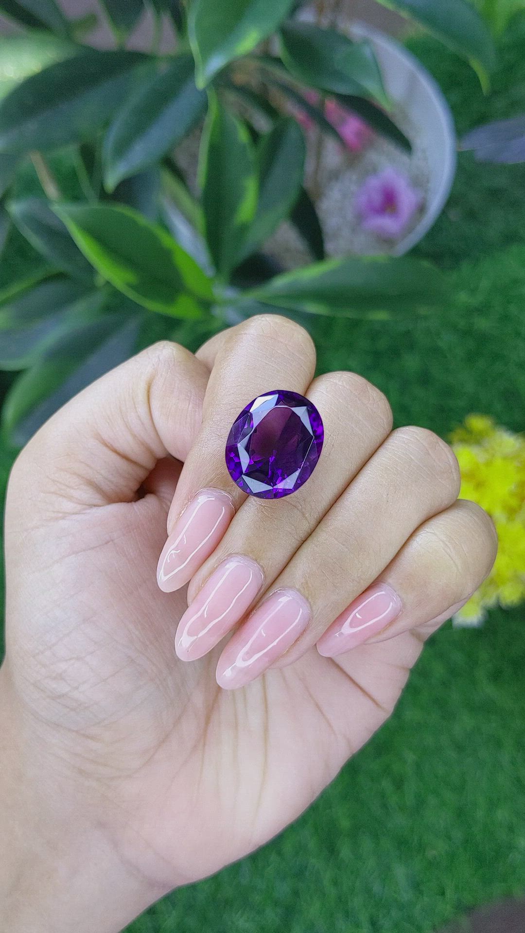 15.70 Ct. Amethyst from Ceylon (Sri Lanka) Size Video