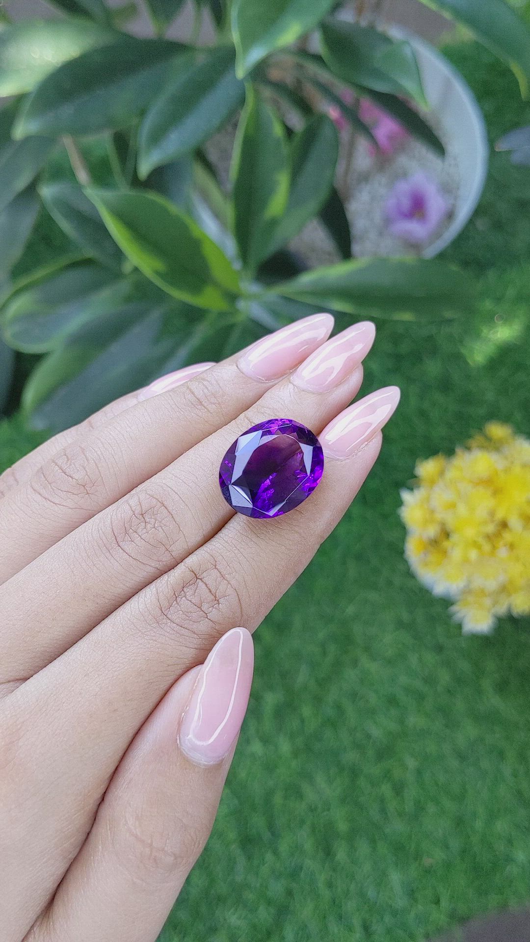 15.70 Ct. Amethyst from Ceylon (Sri Lanka) Size Video