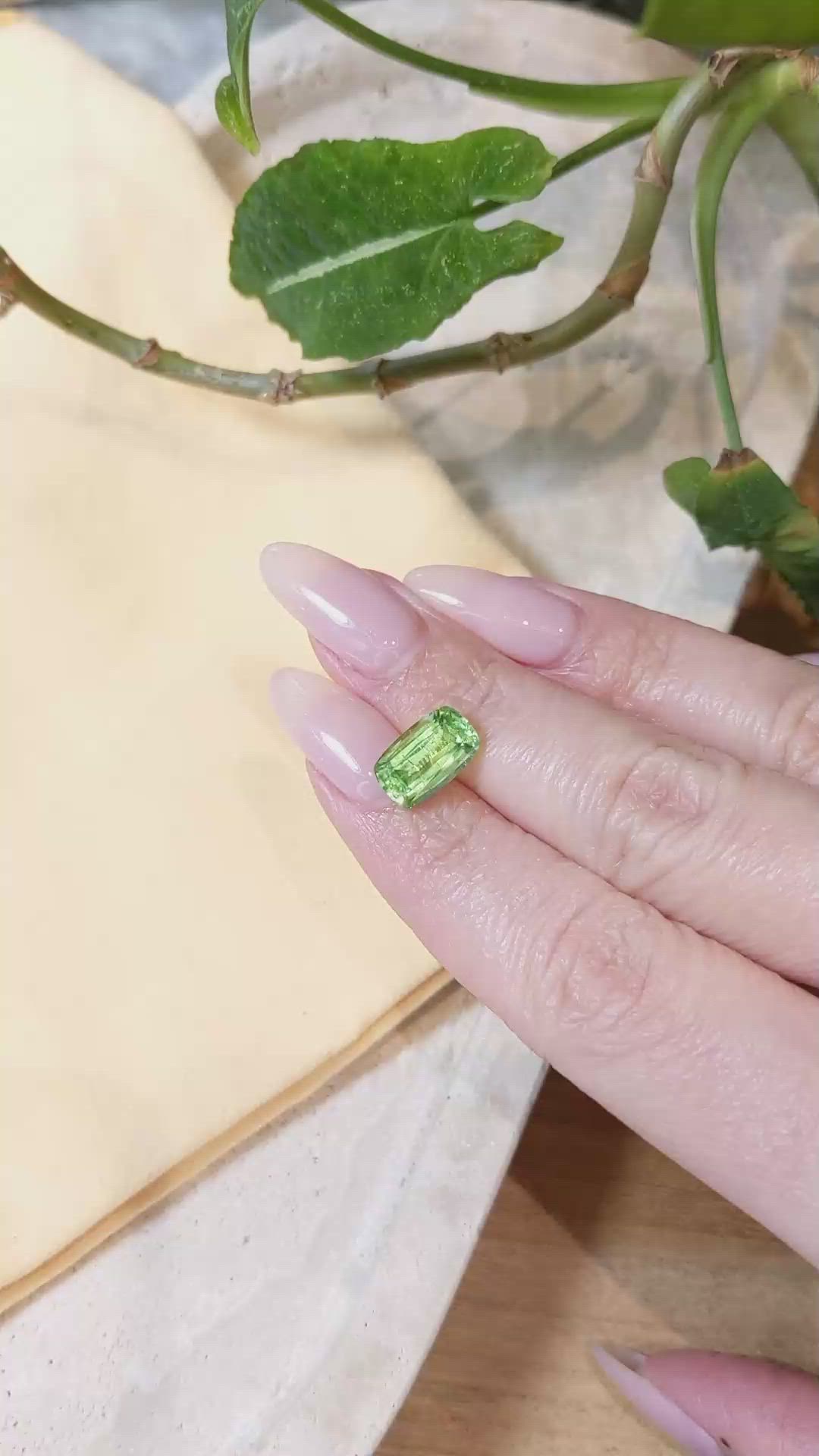 3.07 Ct. Paraiba Tourmaline from Mozambique Size Video