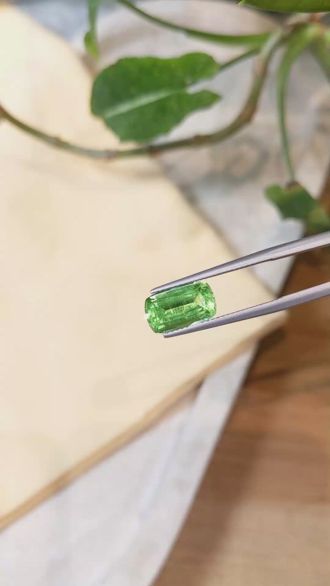 3.07 Ct. Paraiba Tourmaline from Mozambique Size Video