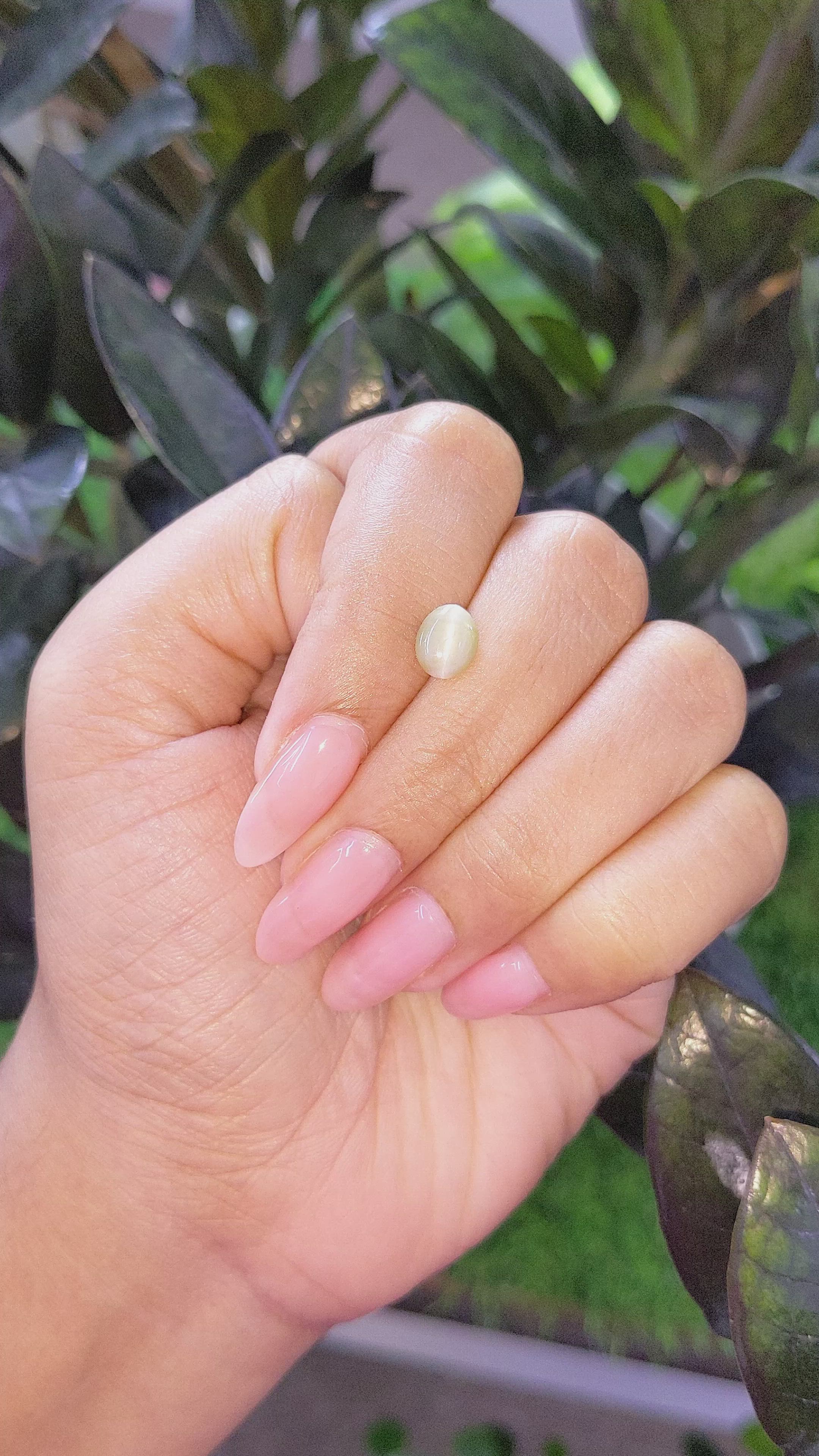 1.21 Ct. Chrysoberyl from Ceylon (Sri Lanka) Size Video