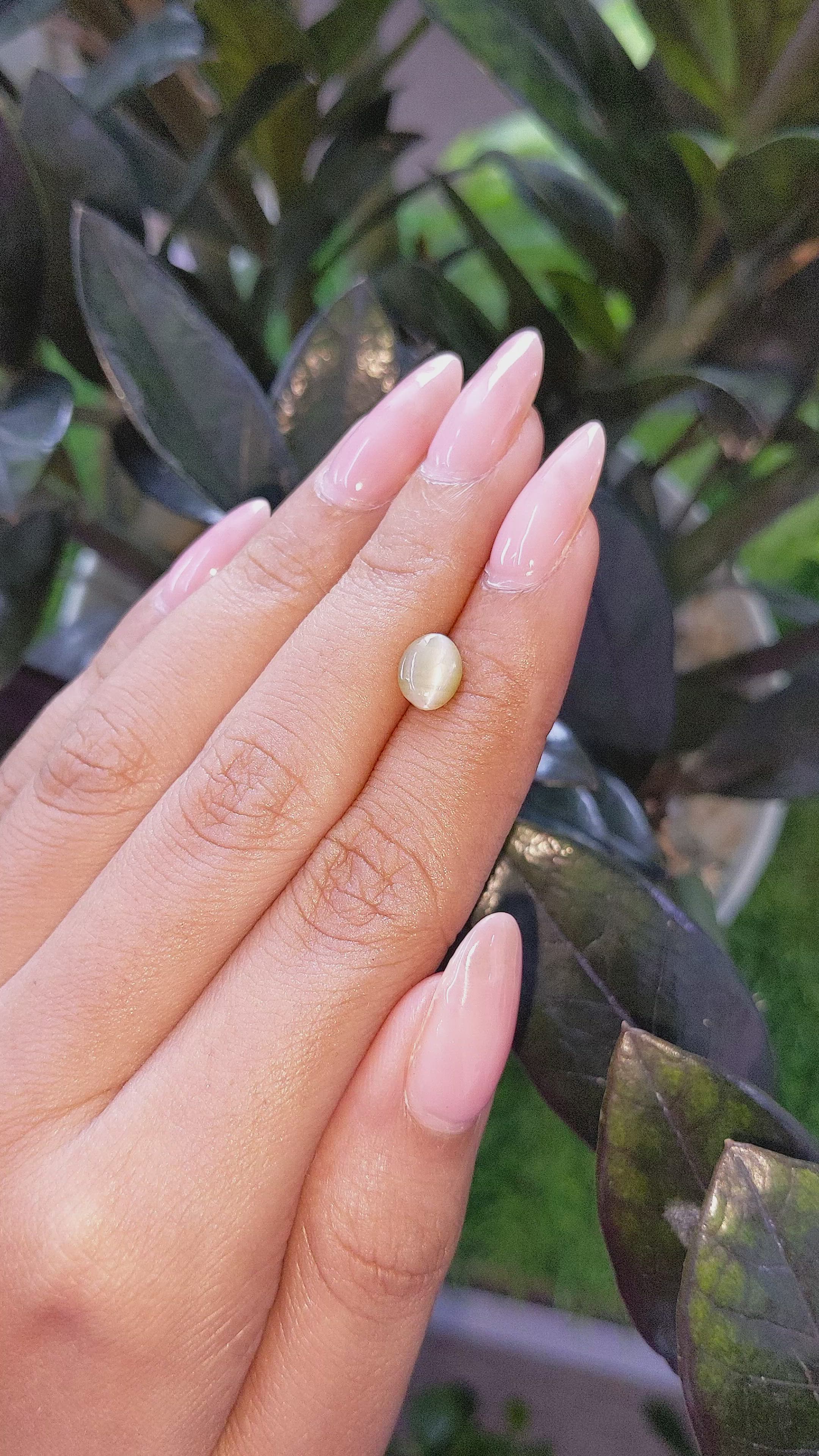 1.21 Ct. Chrysoberyl from Ceylon (Sri Lanka) Size Video