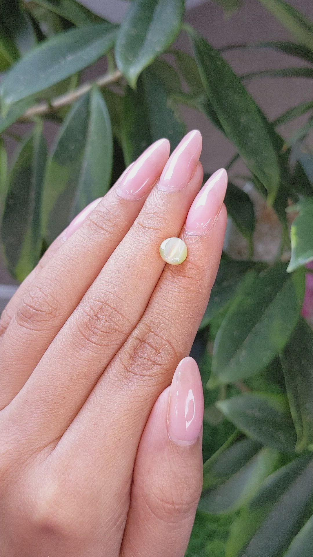 1.72 Ct. Chrysoberyl from Ceylon (Sri Lanka) Size Video