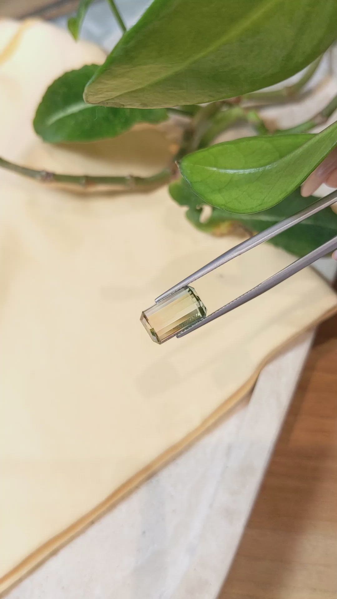 6.03 Ct. Tourmaline from Mozambique Size Video