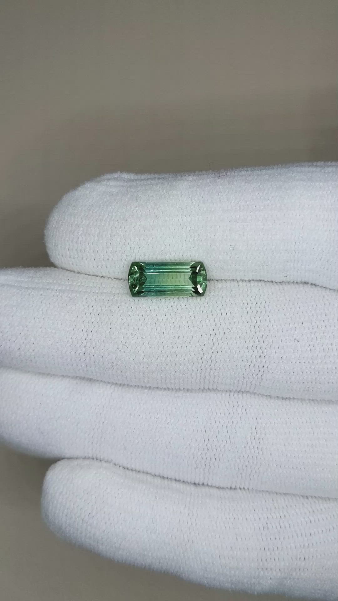 2.99 Ct. Tourmaline from Mozambique Size Video