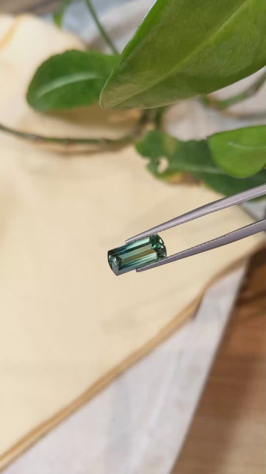 2.99 Ct. Tourmaline from Mozambique Size Video