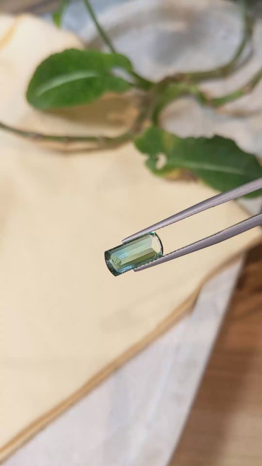 2.99 Ct. Tourmaline from Mozambique Size Video
