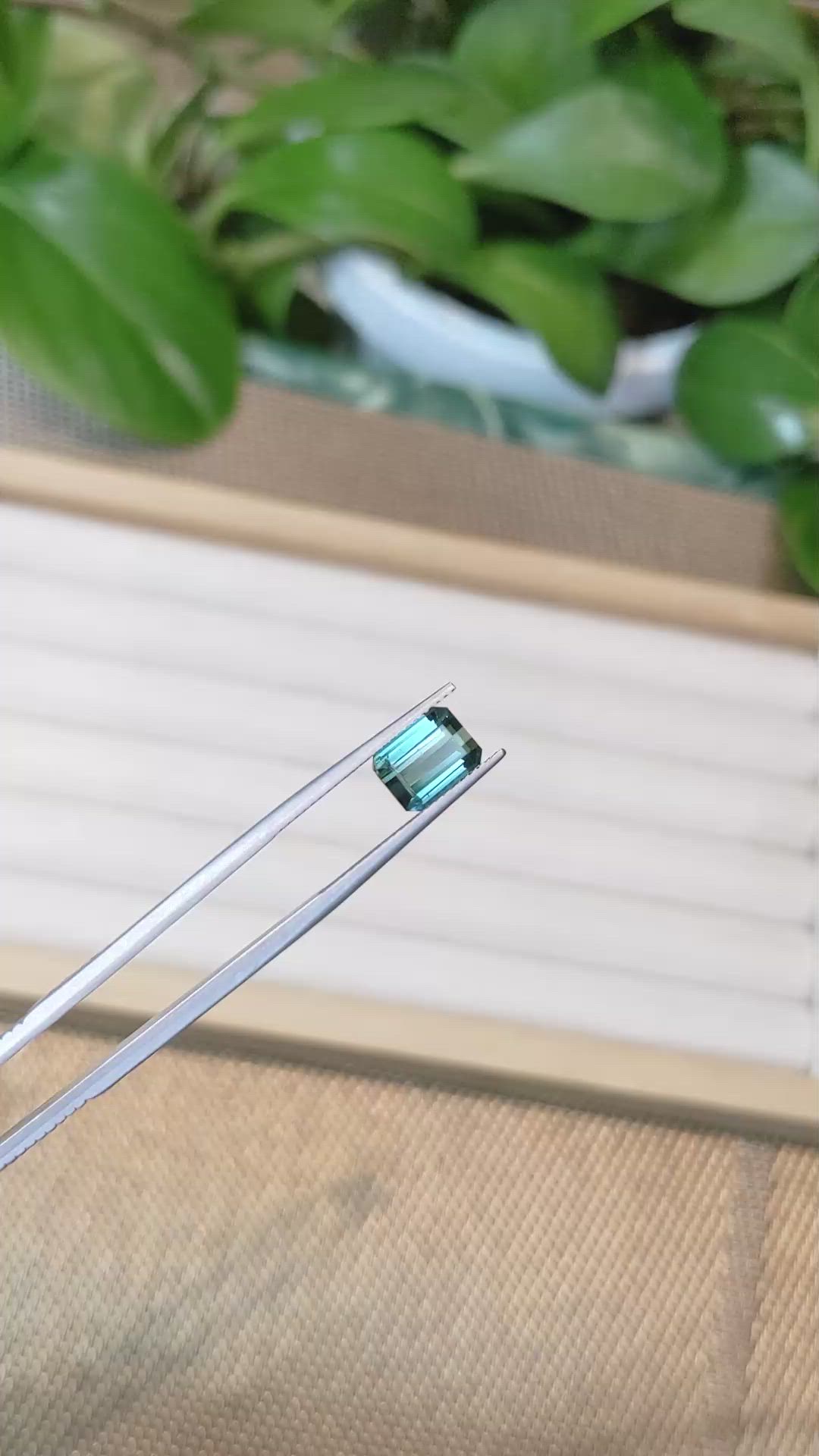 2.53 Ct. Tourmaline from Mozambique Size Video