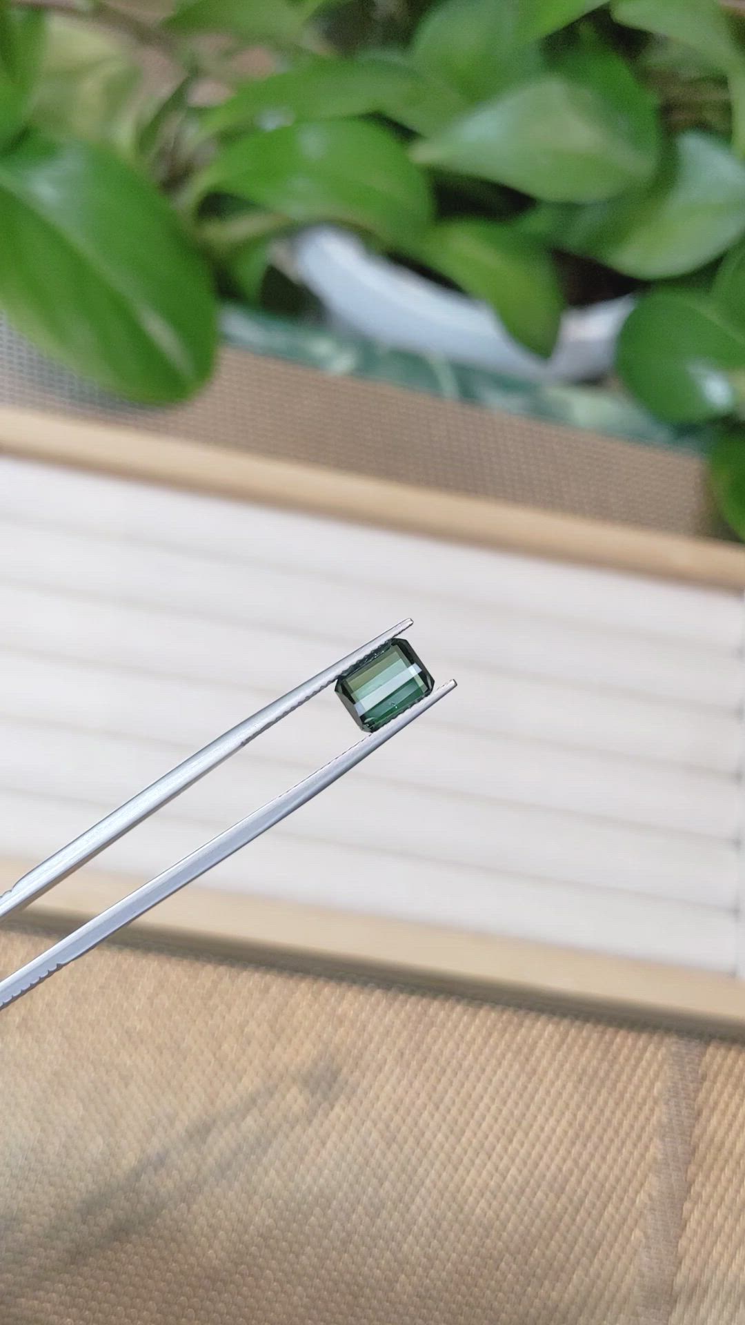 2.53 Ct. Tourmaline from Mozambique Size Video