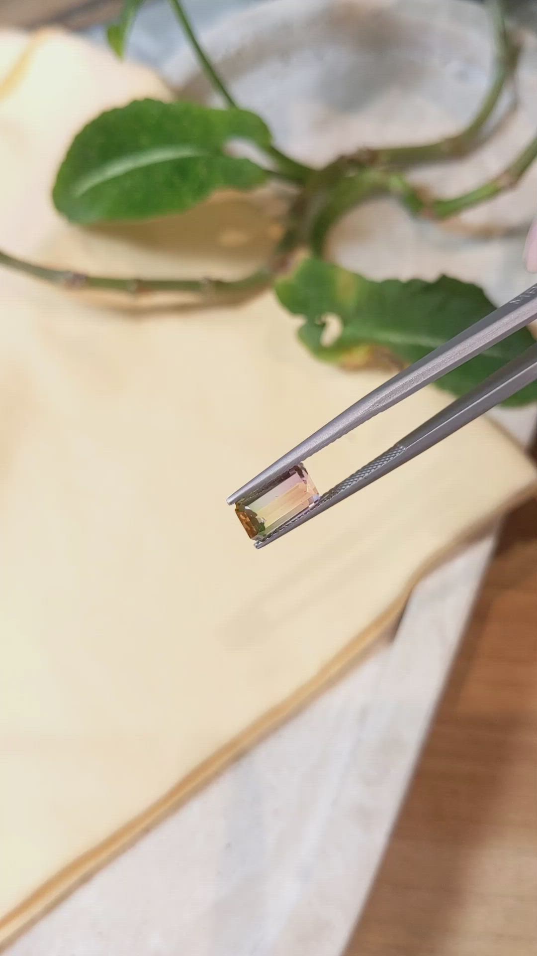 2.42 Ct. Tourmaline from Mozambique Size Video