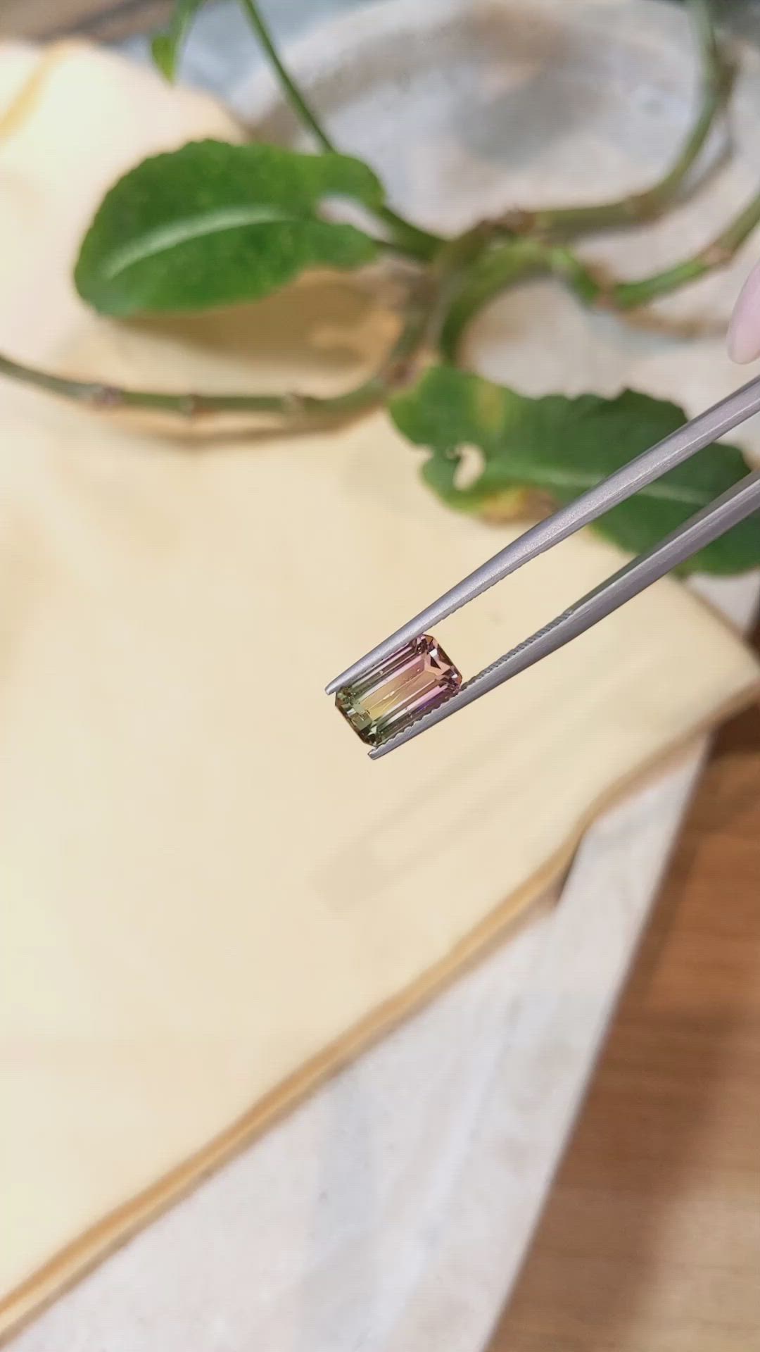 2.42 Ct. Tourmaline from Mozambique Size Video