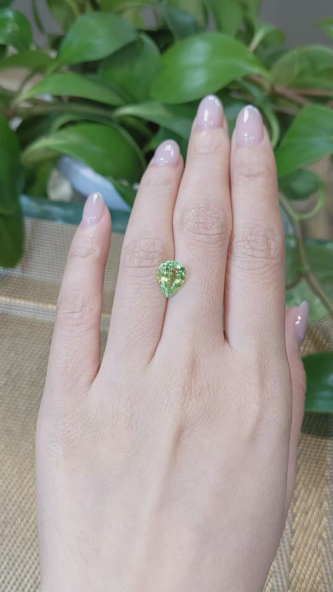 2.28 Ct. Tourmaline from Mozambique Size Video