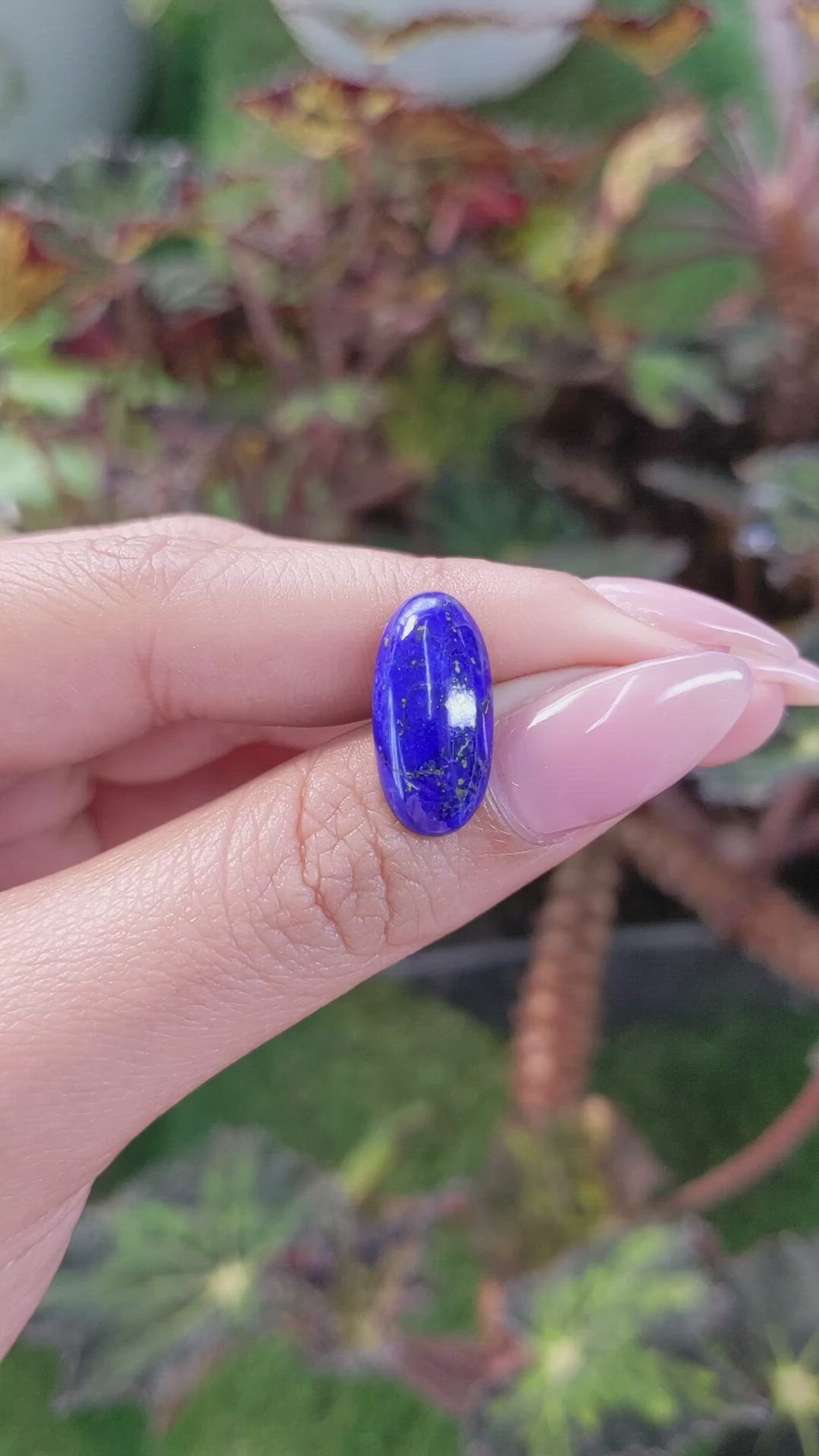 5.61 Ct. Cabochon Lapis from Afghanistan Size Video