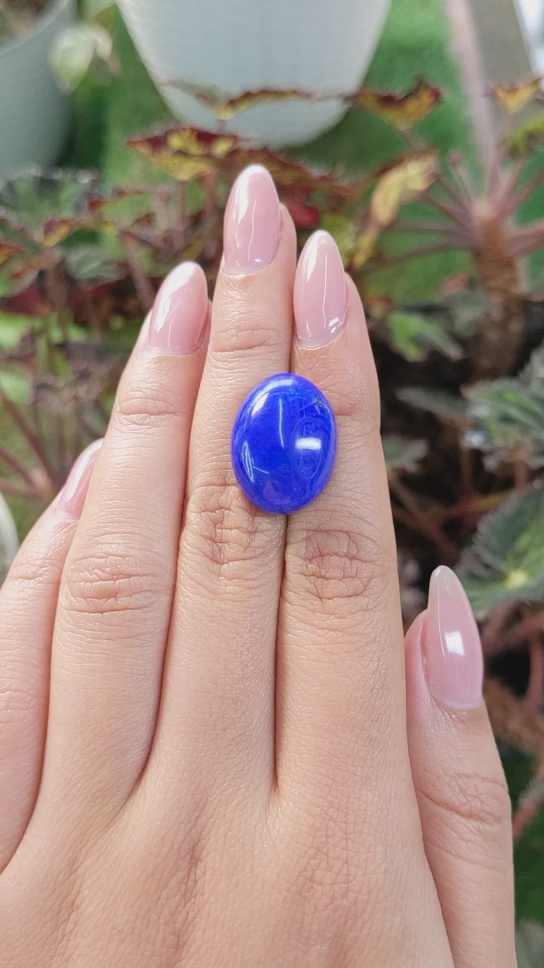 18.84 Ct. Cabochon Lapis from Afghanistan Size Video