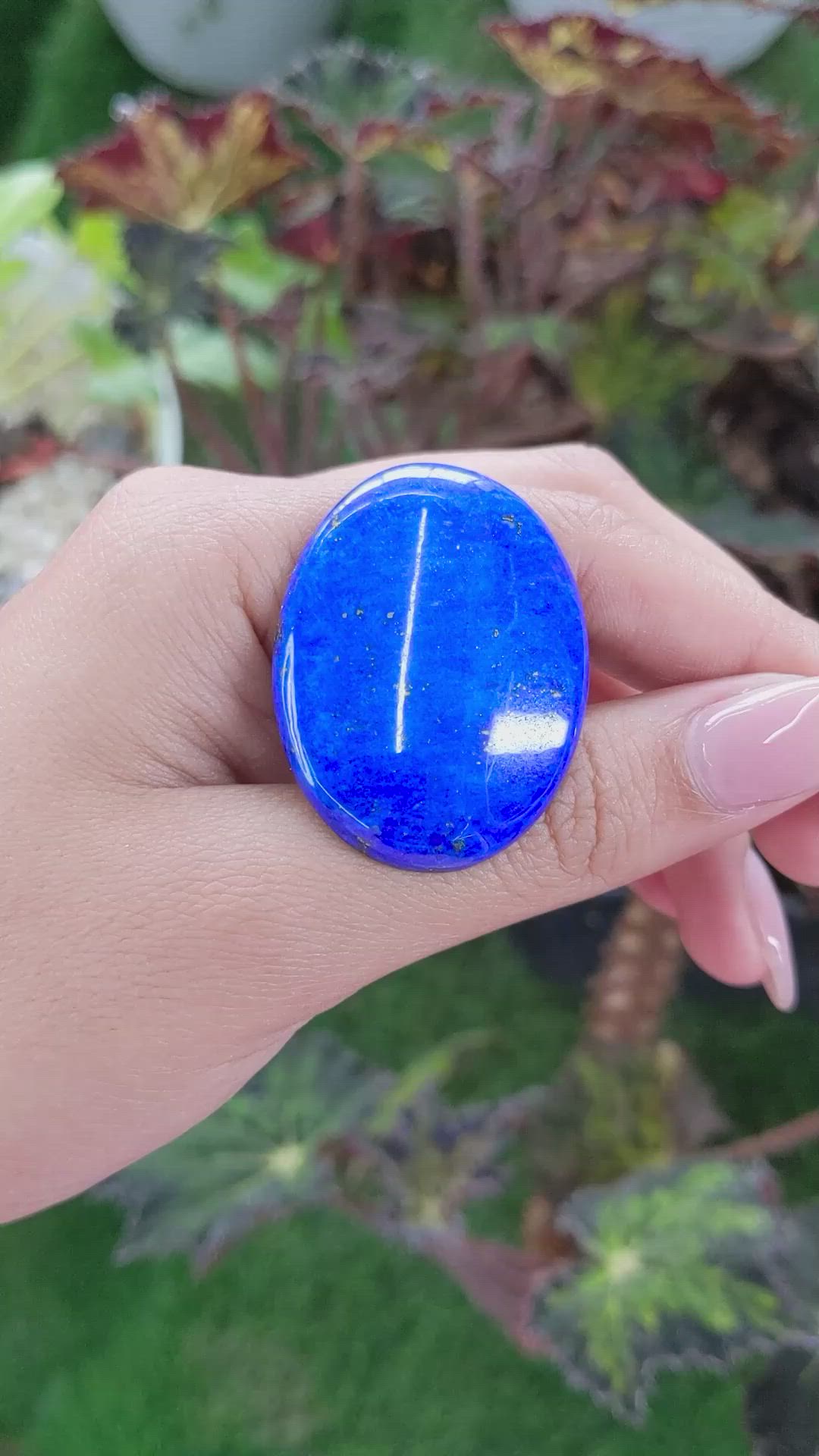 61.50 Ct. Cabochon Lapis from Afghanistan Size Video