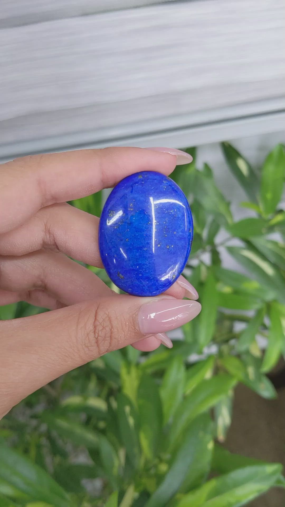 61.50 Ct. Cabochon Lapis from Afghanistan Size Video