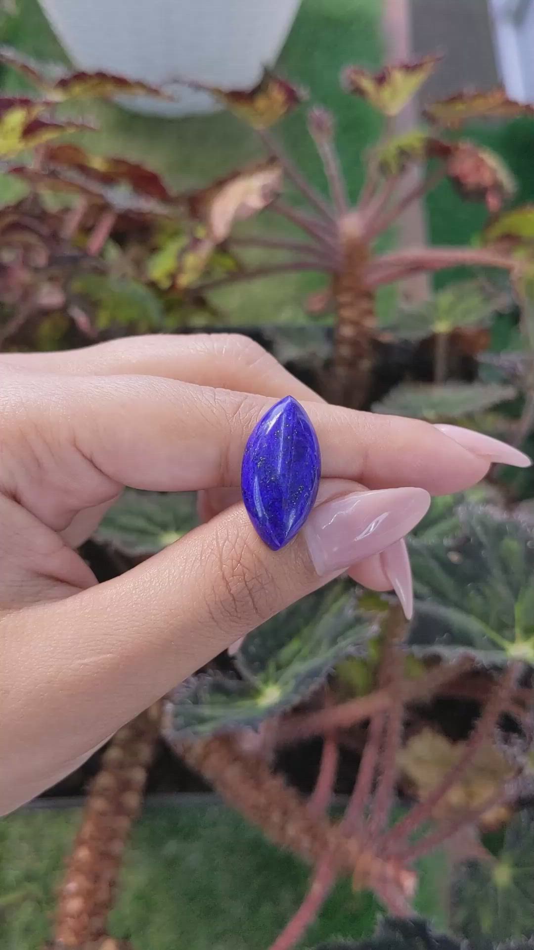 12.87 Ct. Cabochon Lapis from Afghanistan Size Video