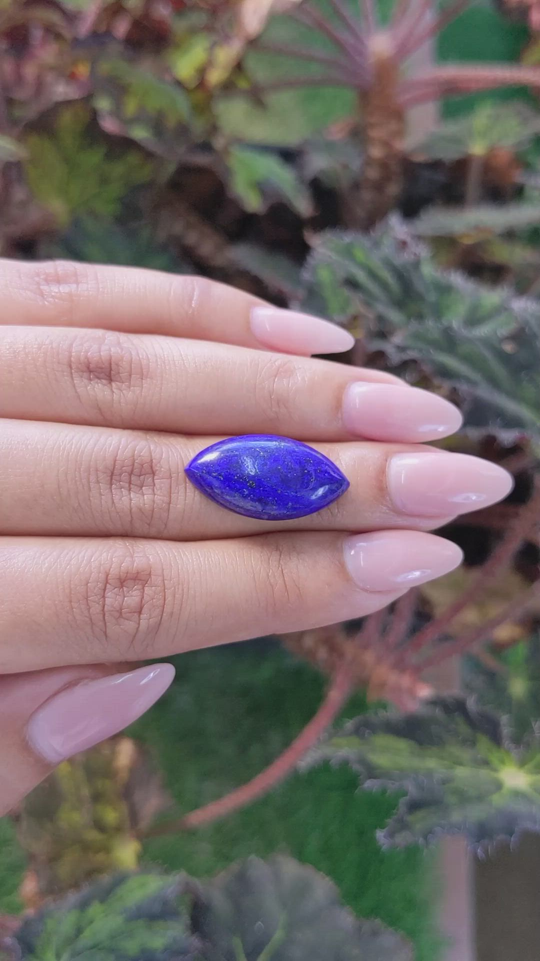 12.87 Ct. Cabochon Lapis from Afghanistan Size Video