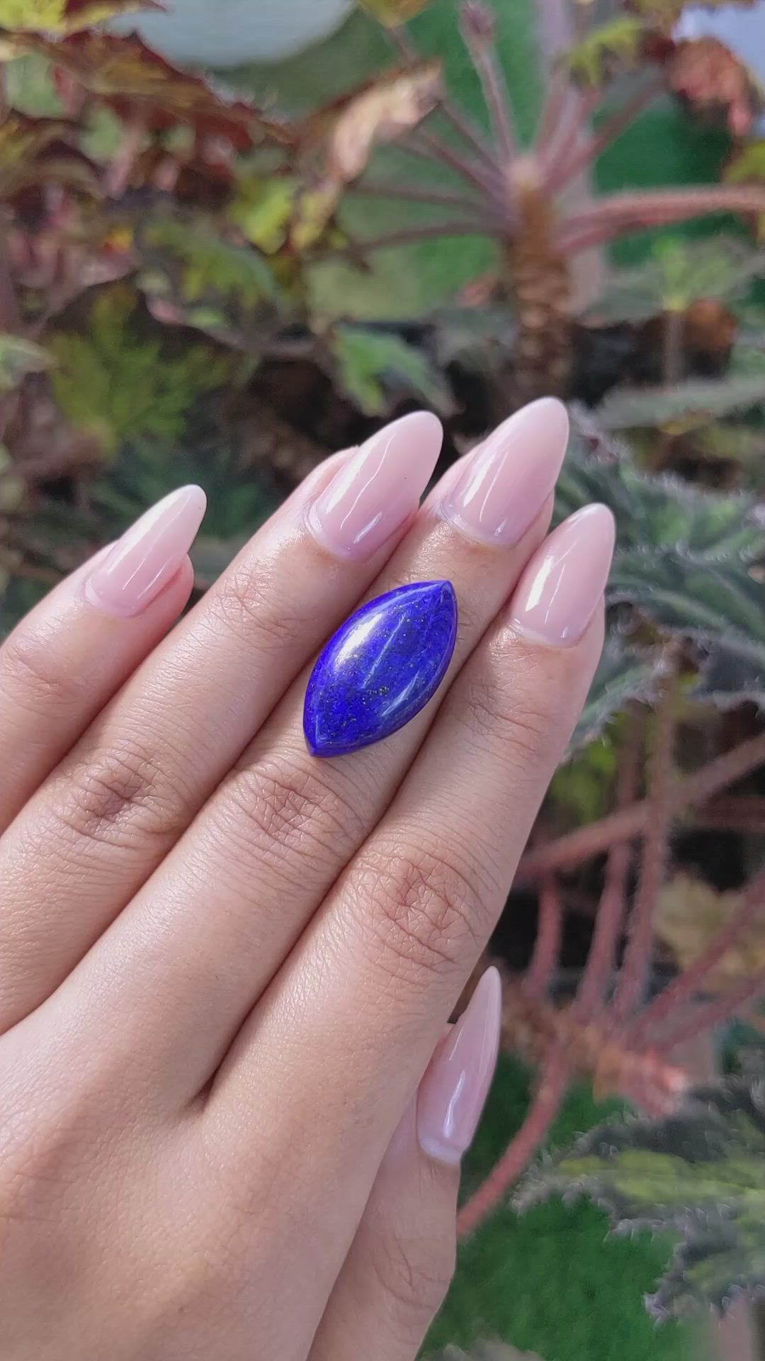 12.87 Ct. Cabochon Lapis from Afghanistan Size Video