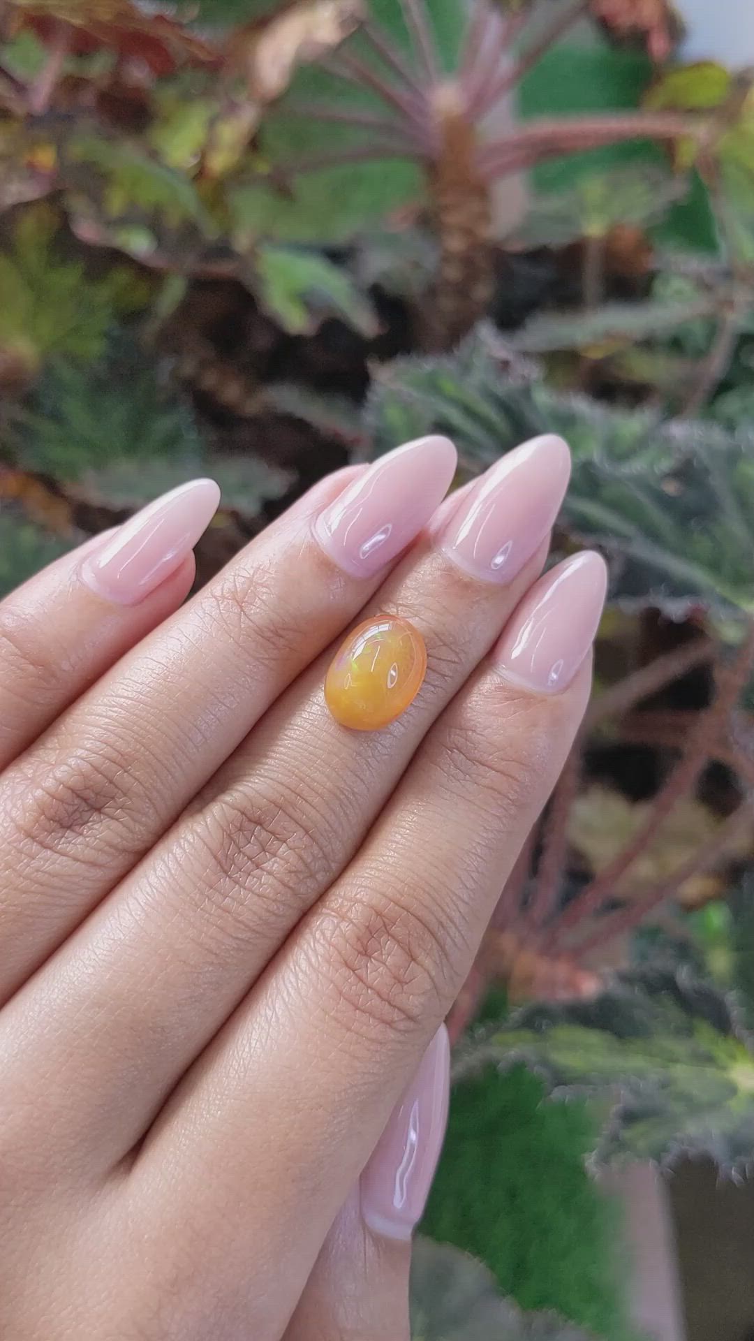 4.80 Ct. Cabochon Fire Opal from Australia Size Video