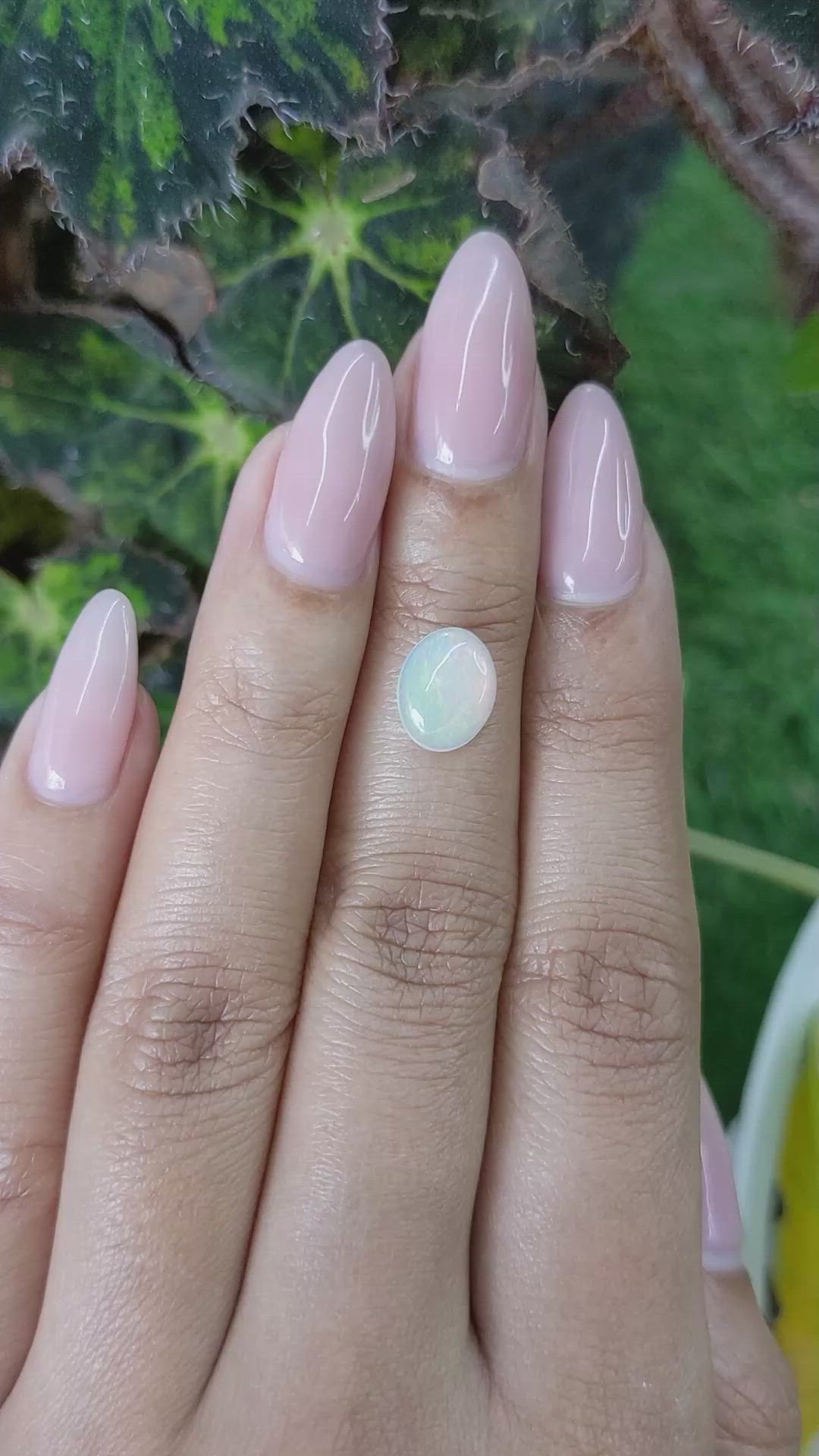 1.21 Ct. Cabochon White Opal from Australia Size Video