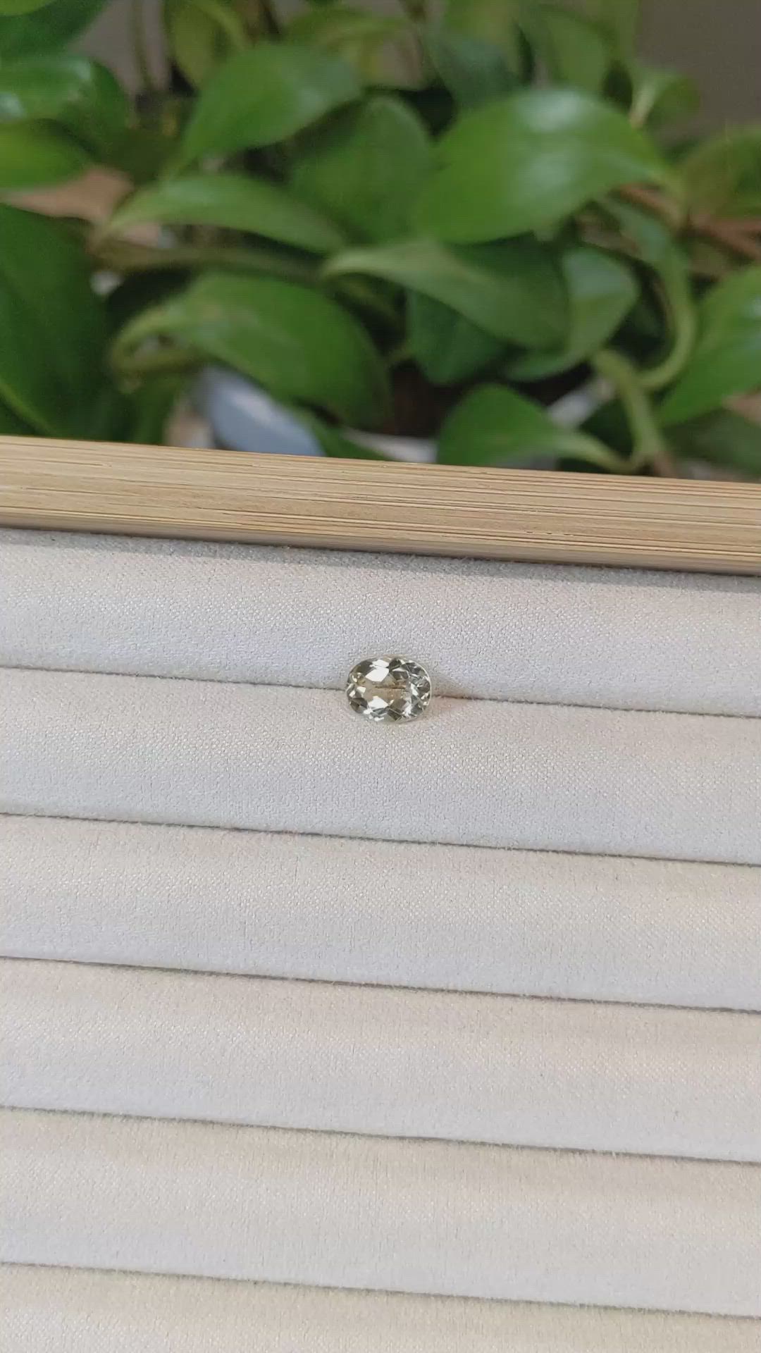 1.72 Ct. Heliodor from Pakistan Size Video