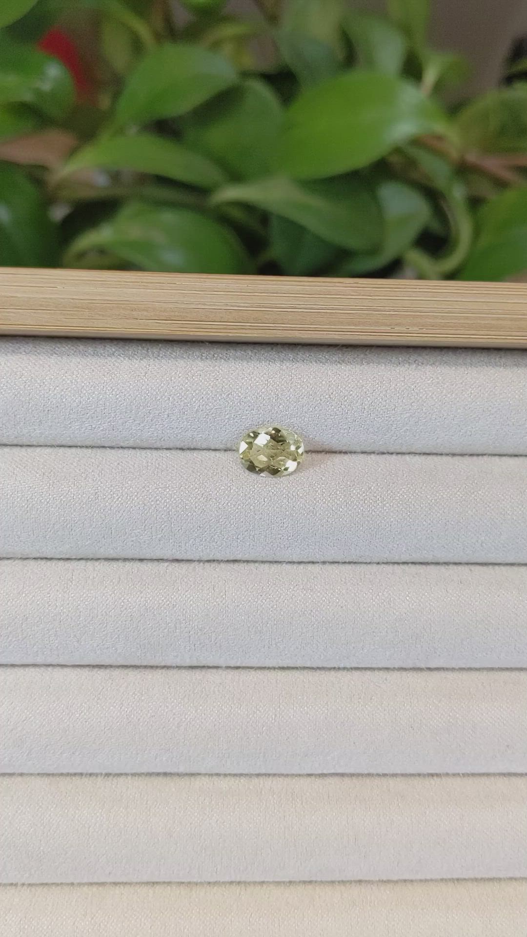 1.49 Ct. Heliodor from Pakistan Size Video
