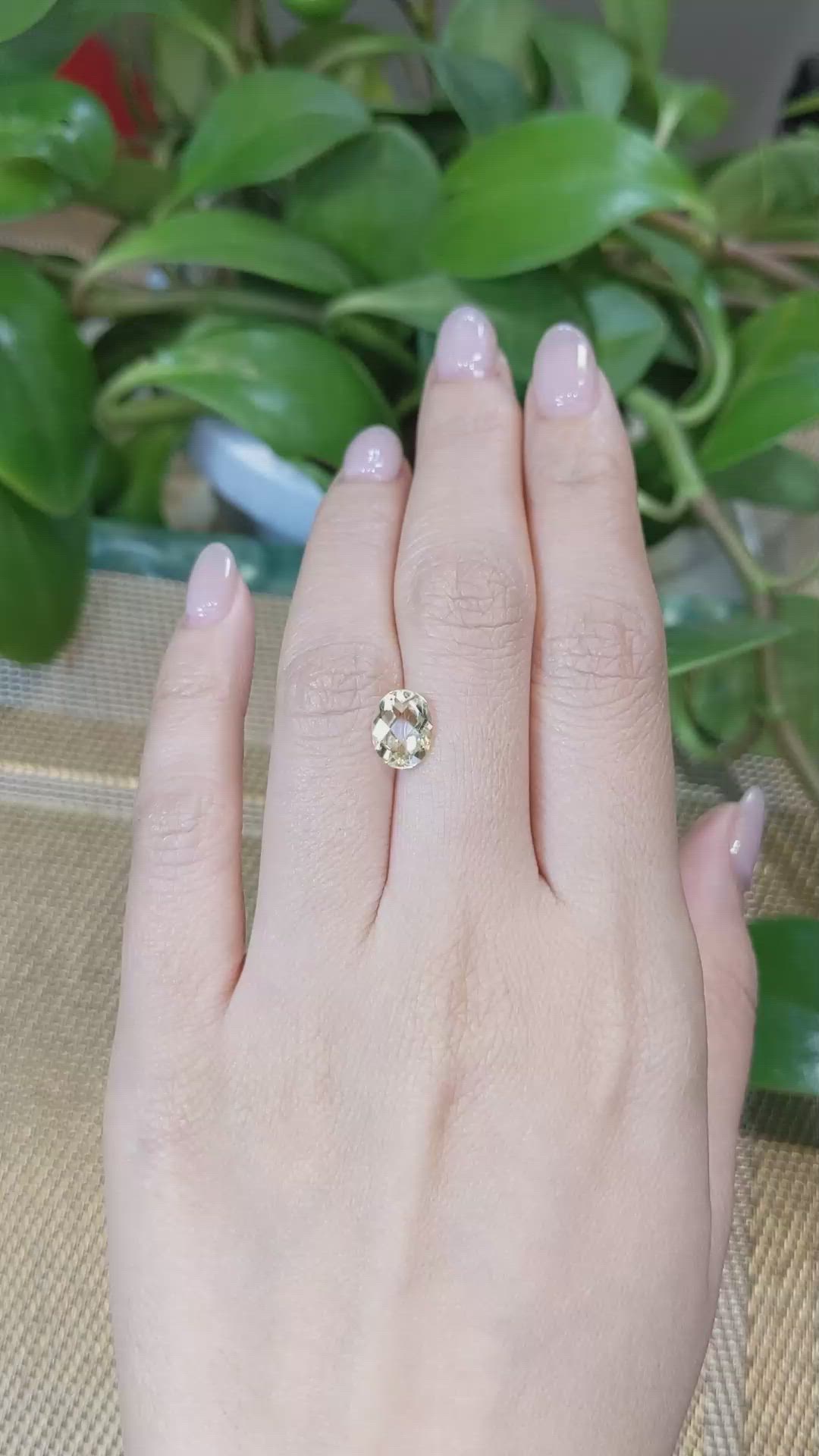 1.49 Ct. Heliodor from Pakistan Size Video