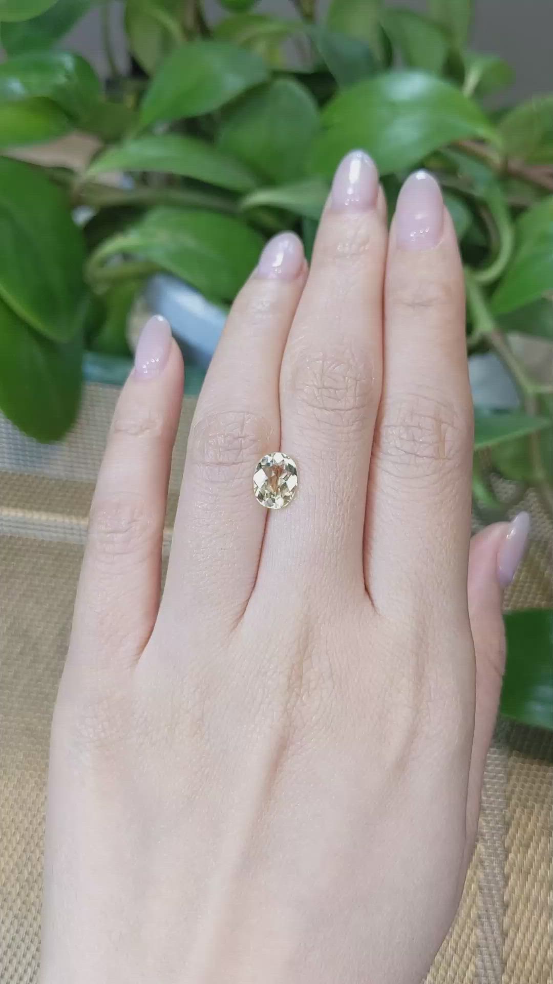 1.54 Ct. Heliodor from Pakistan Size Video